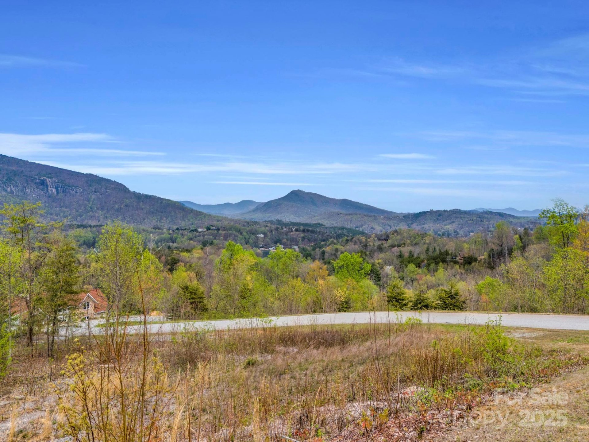 Property image 4 at 999 Clear Creek Trail, Lake Lure, NC 28746