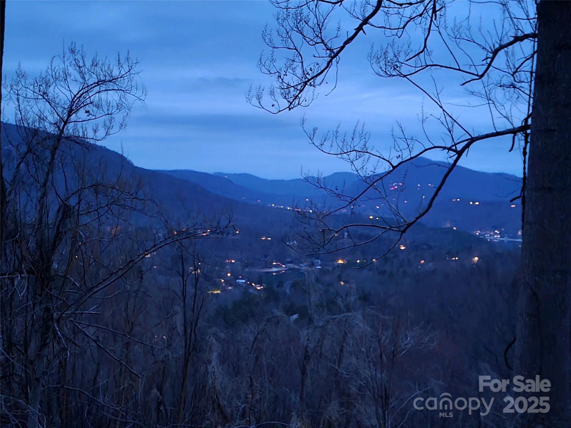 Property image 5 at 000 Clear Creek Trail, Lake Lure, NC 28746