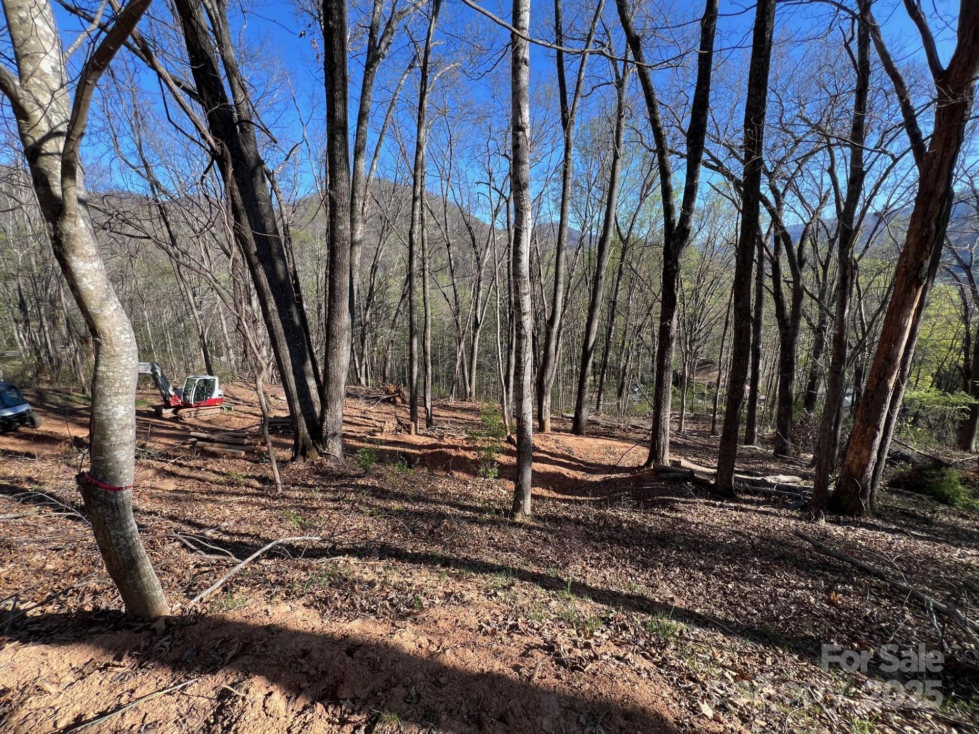 Property image 1 at 0 Little Creek Drive, Canton, NC 28716