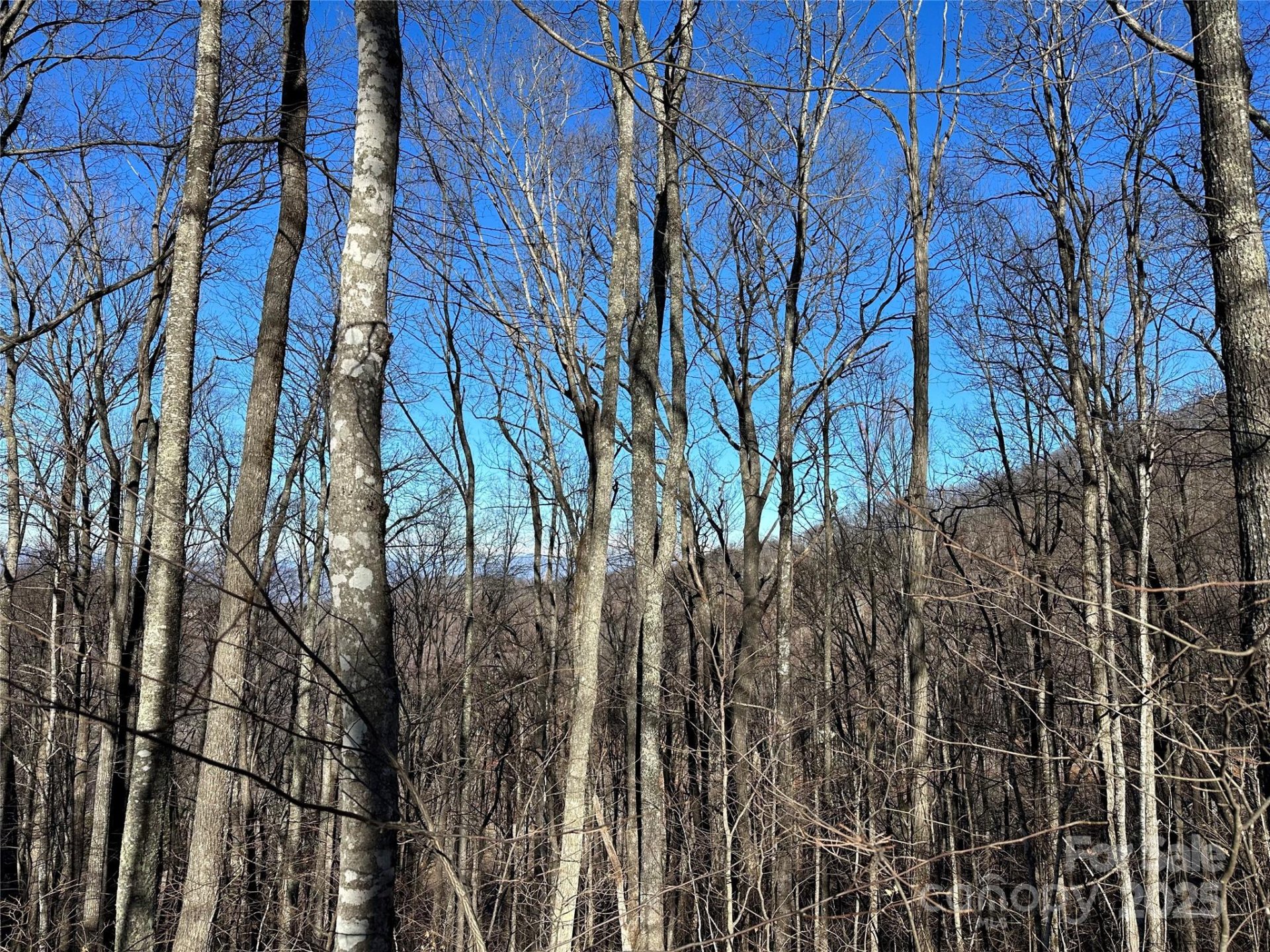 Property at 000 Macallan Drive, Waynesville, NC 28786