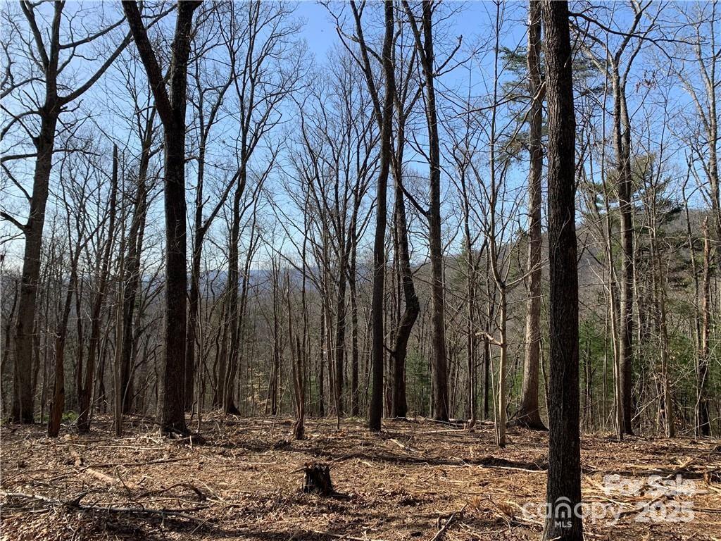 Property image 3 at 228 Spivey Mountain Road, Asheville, NC 28806