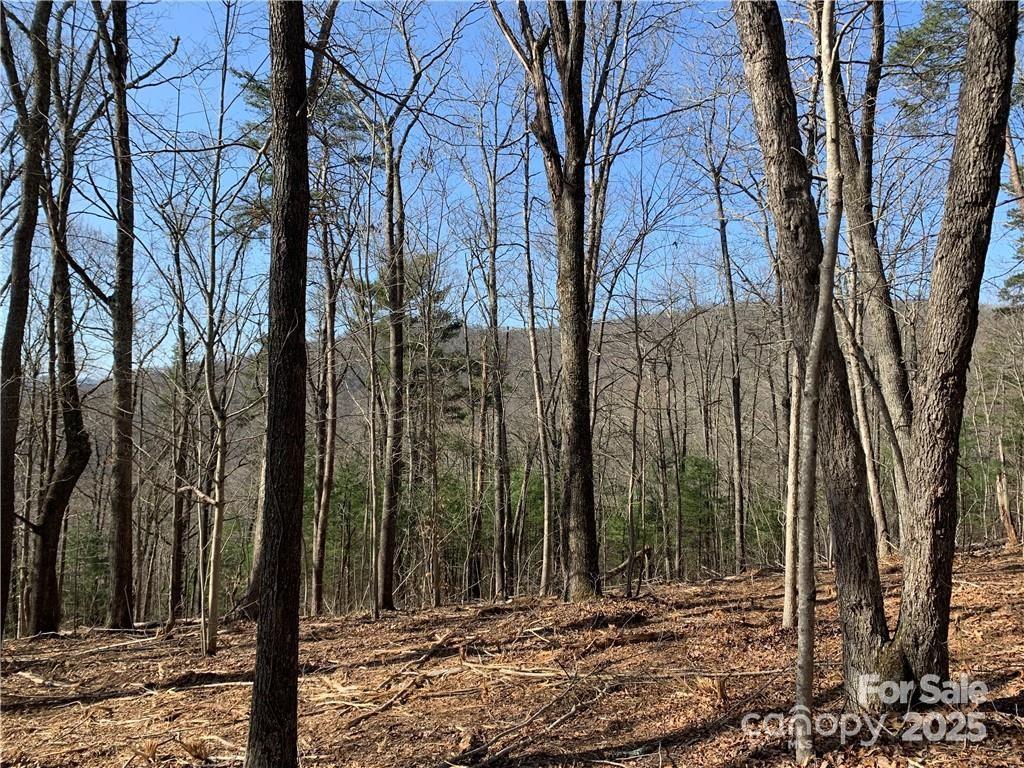 Property image 4 at 228 Spivey Mountain Road, Asheville, NC 28806