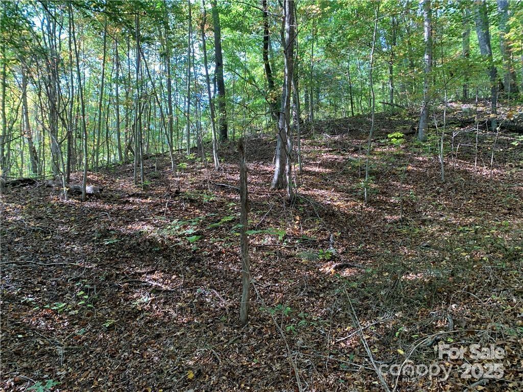 Property image 2 at 107 Rice Road, Asheville, NC 28806