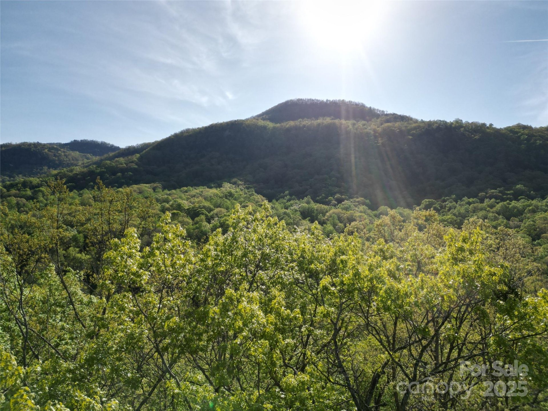Property image 2 at Lot 164 Spanarkel Lane, Lake Lure, NC 28746