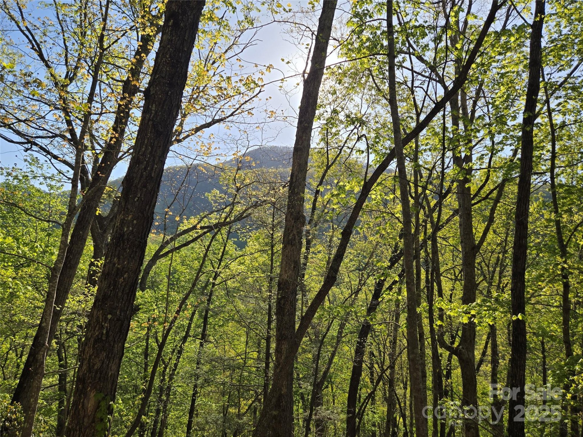 Property image 3 at Lot 164 Spanarkel Lane, Lake Lure, NC 28746