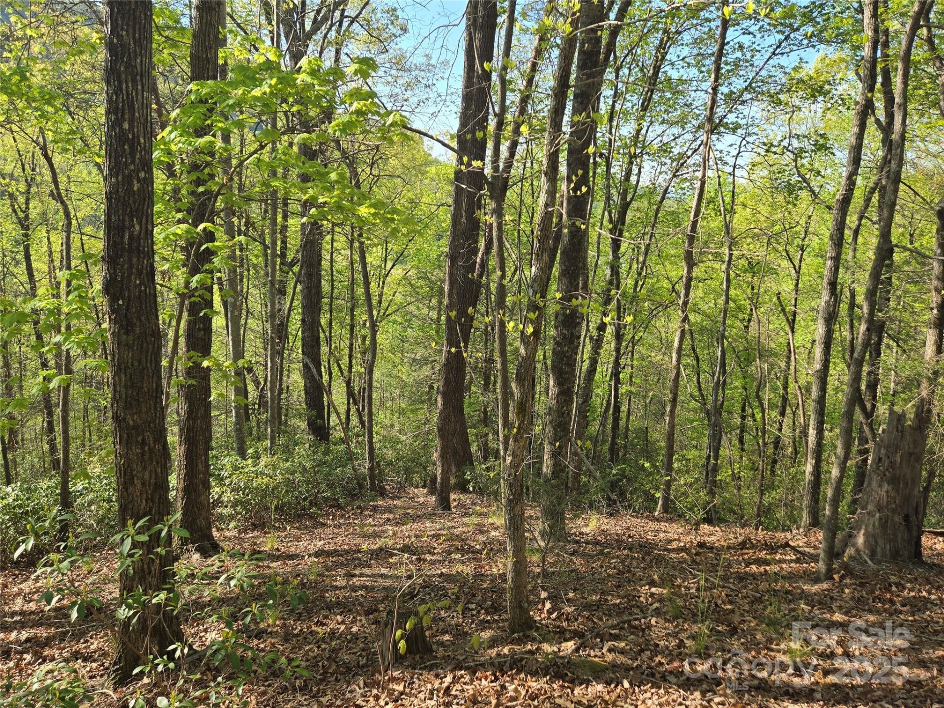 Property image 4 at Lot 164 Spanarkel Lane, Lake Lure, NC 28746