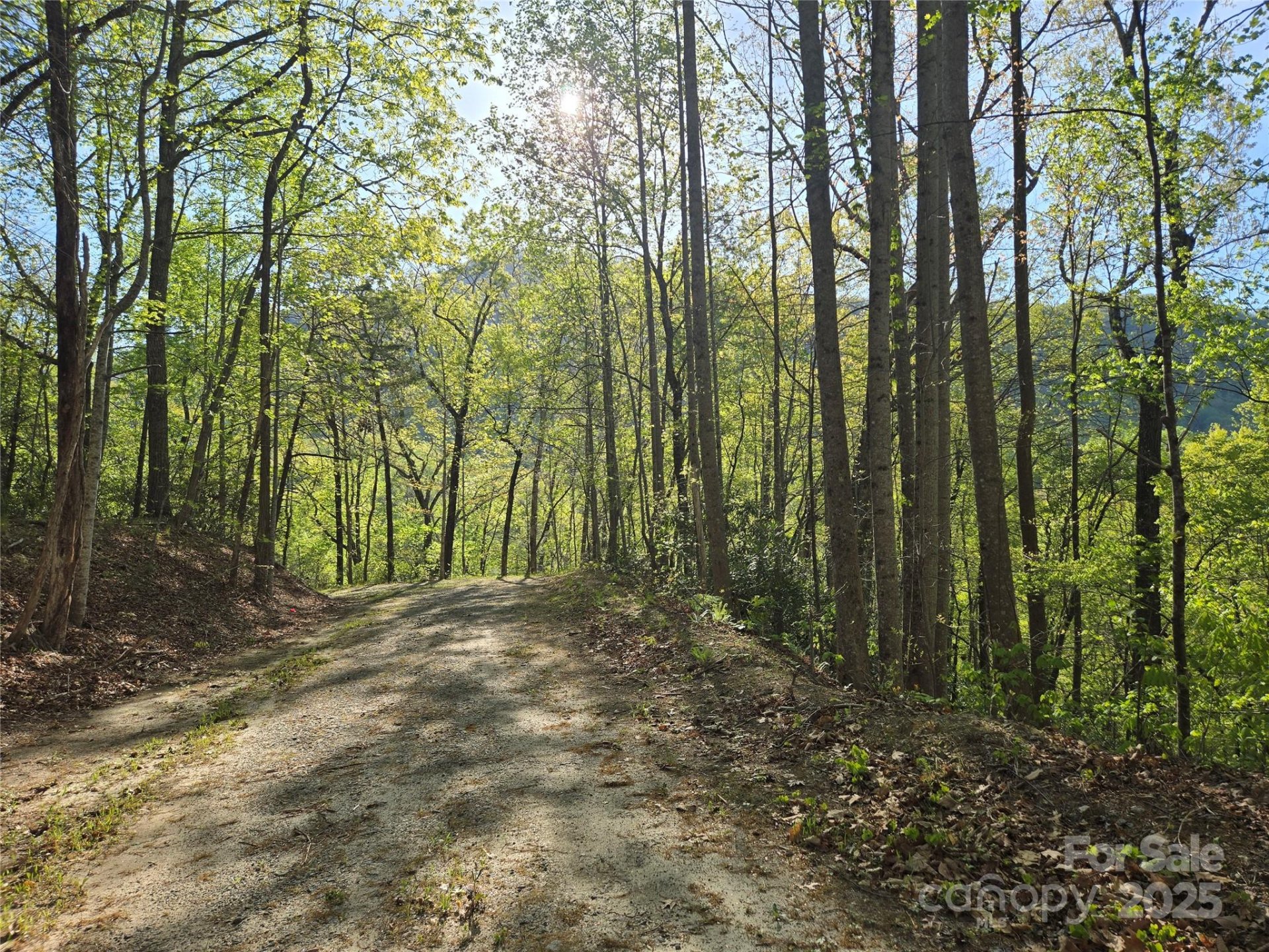 Property image 5 at Lot 164 Spanarkel Lane, Lake Lure, NC 28746