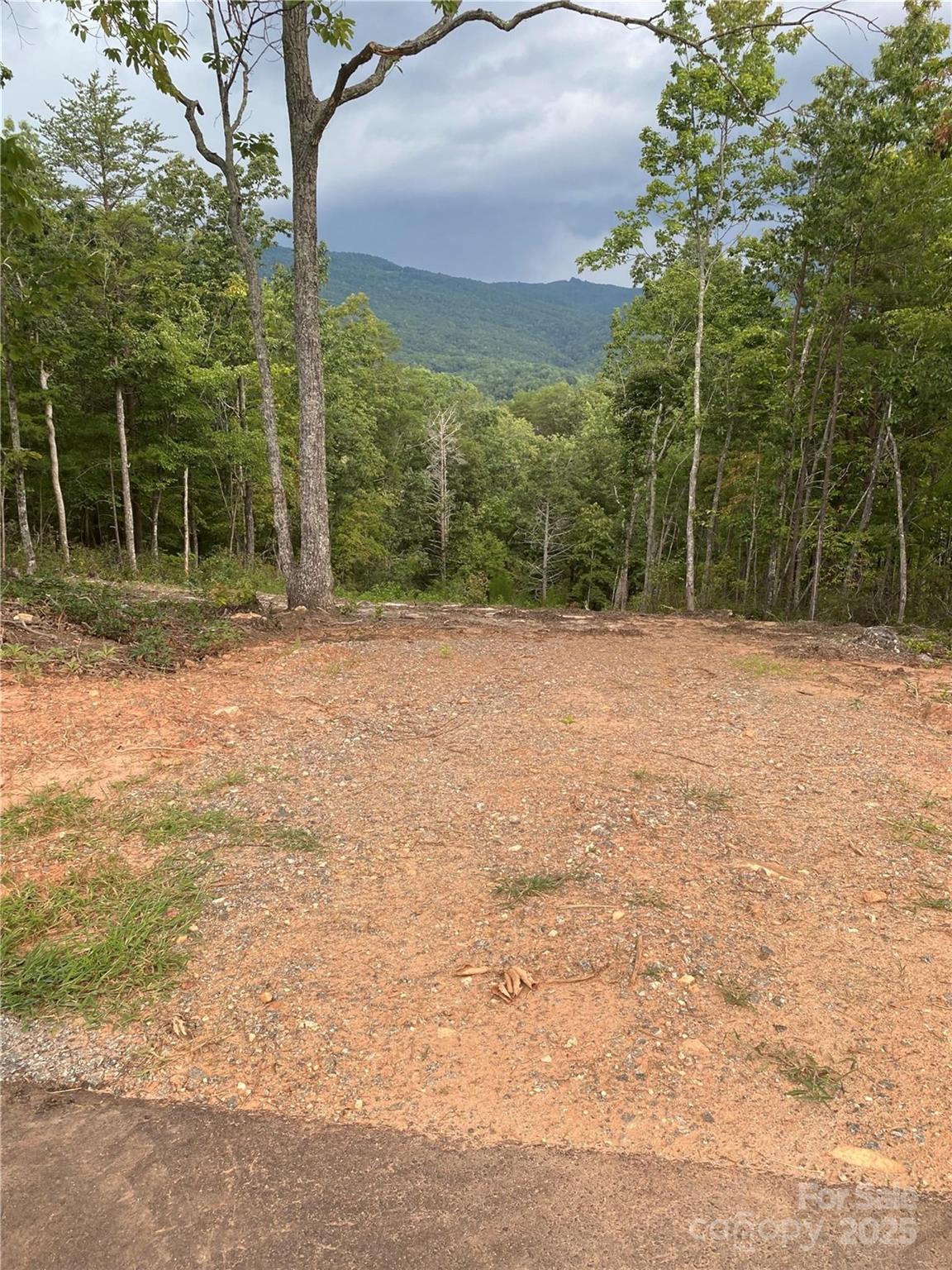 Property image 3 at 1 Jackson Ridge Lane, Mill Spring, NC 28756