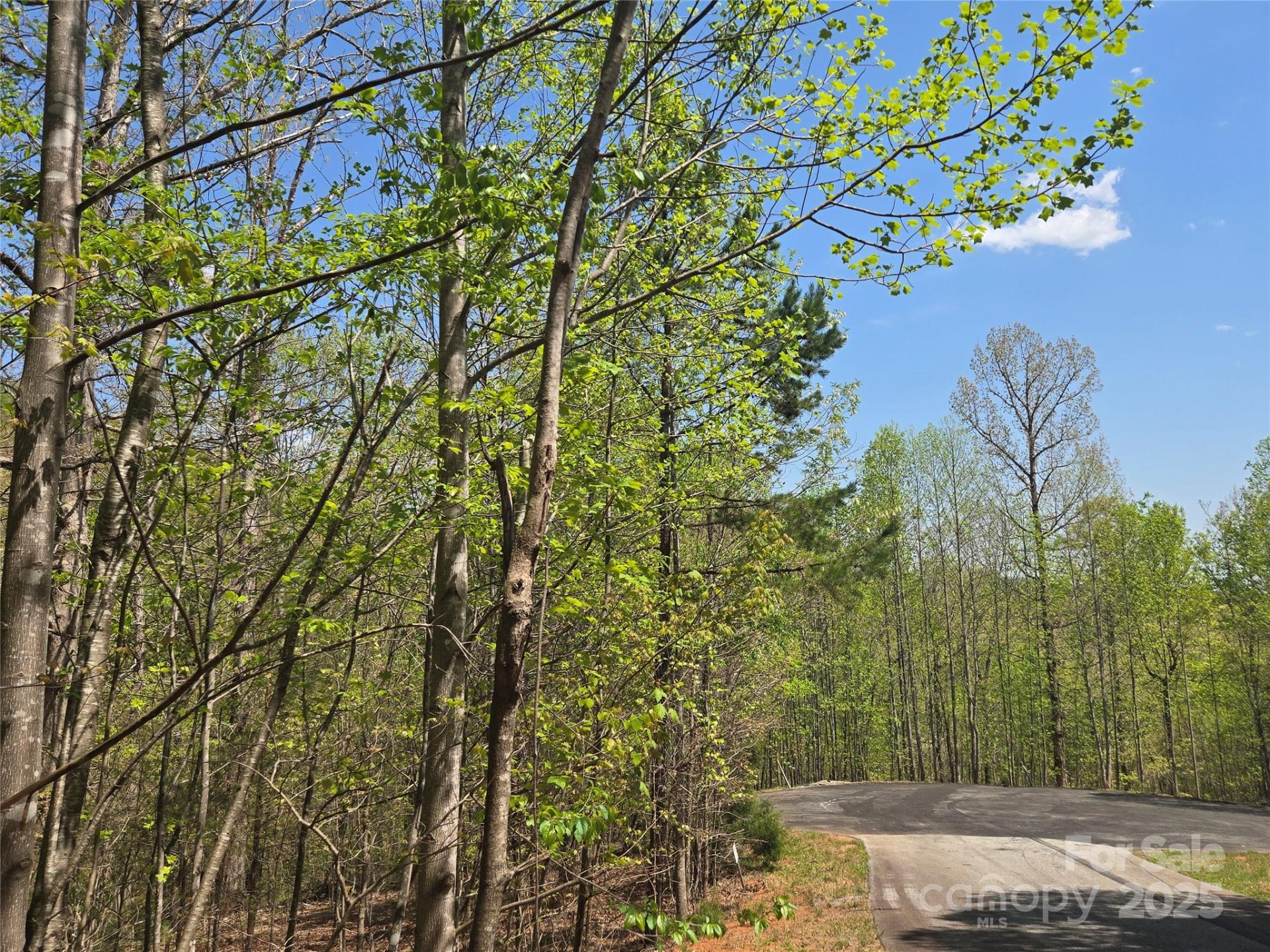 Lot 11 Back Hollow Drive
