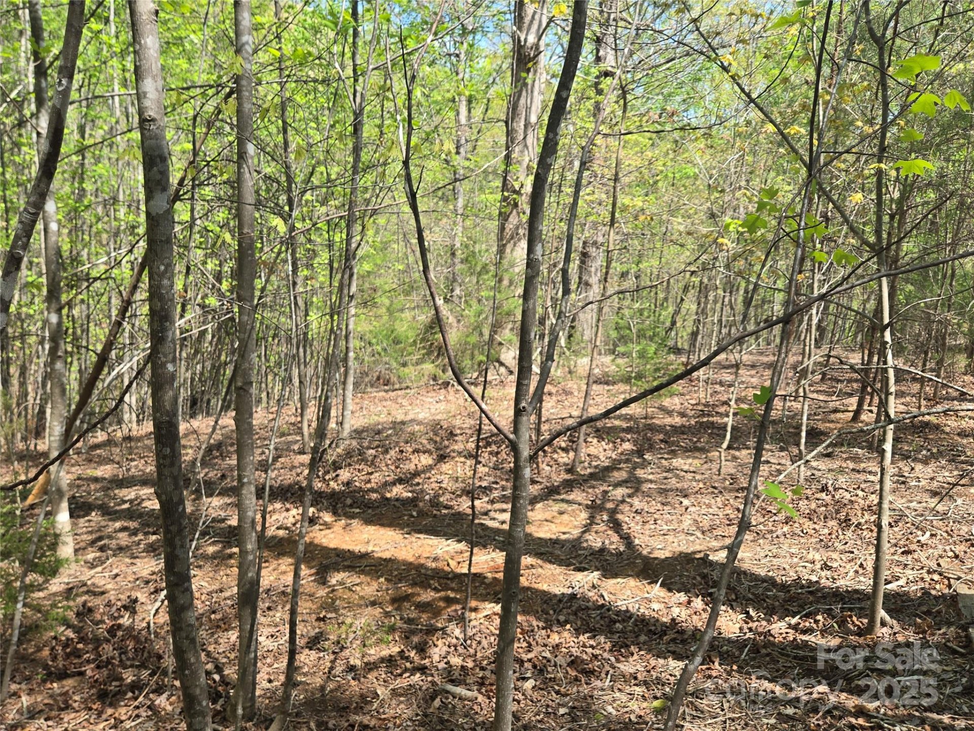 Property image 2 at Lot 11 Back Hollow Drive, Lake Lure, NC 28746