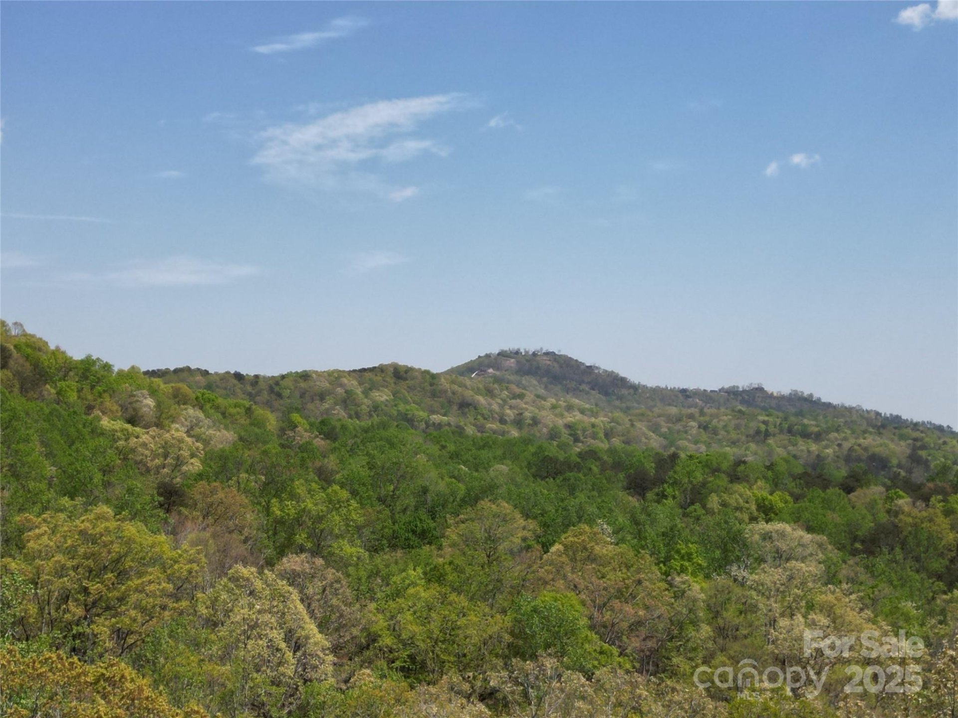 Property image 3 at Lot 13 Back Hollow Drive, Lake Lure, NC 28746