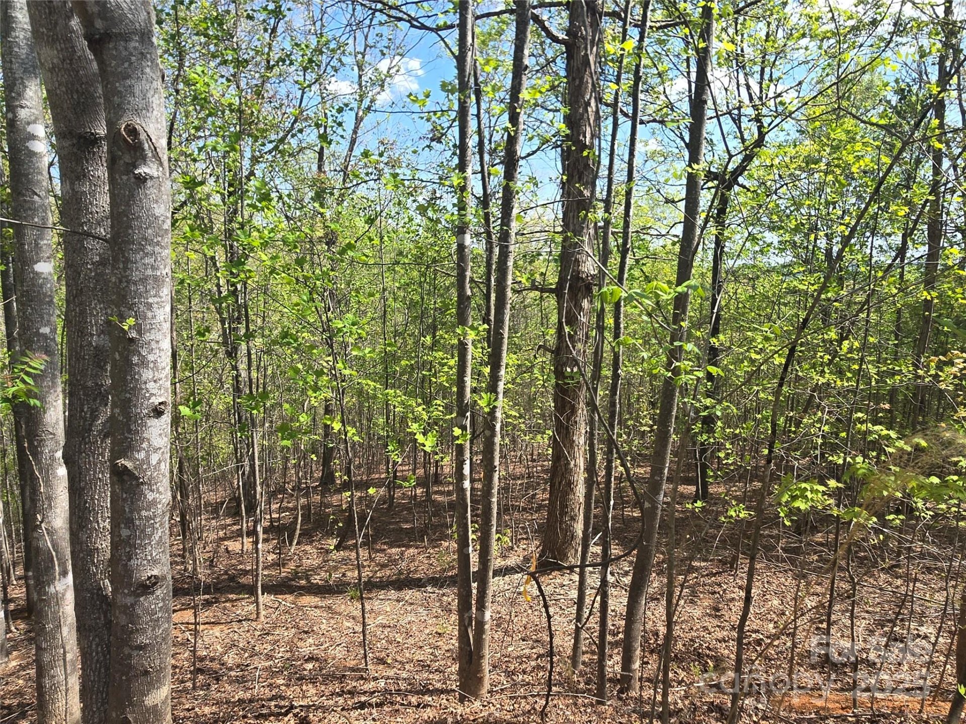 Property image 5 at Lot 13 Back Hollow Drive, Lake Lure, NC 28746