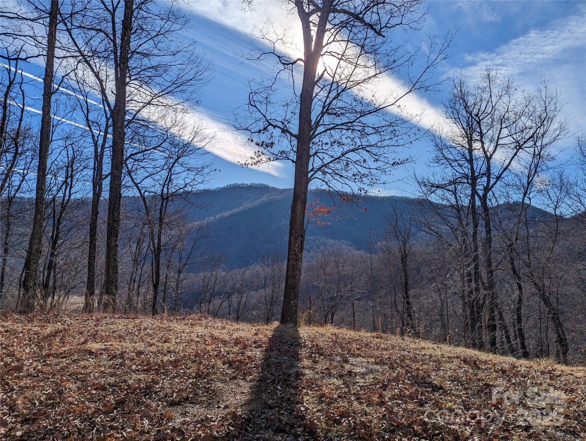 Property at 367 Kestrel Lane, Black Mountain, NC 28711