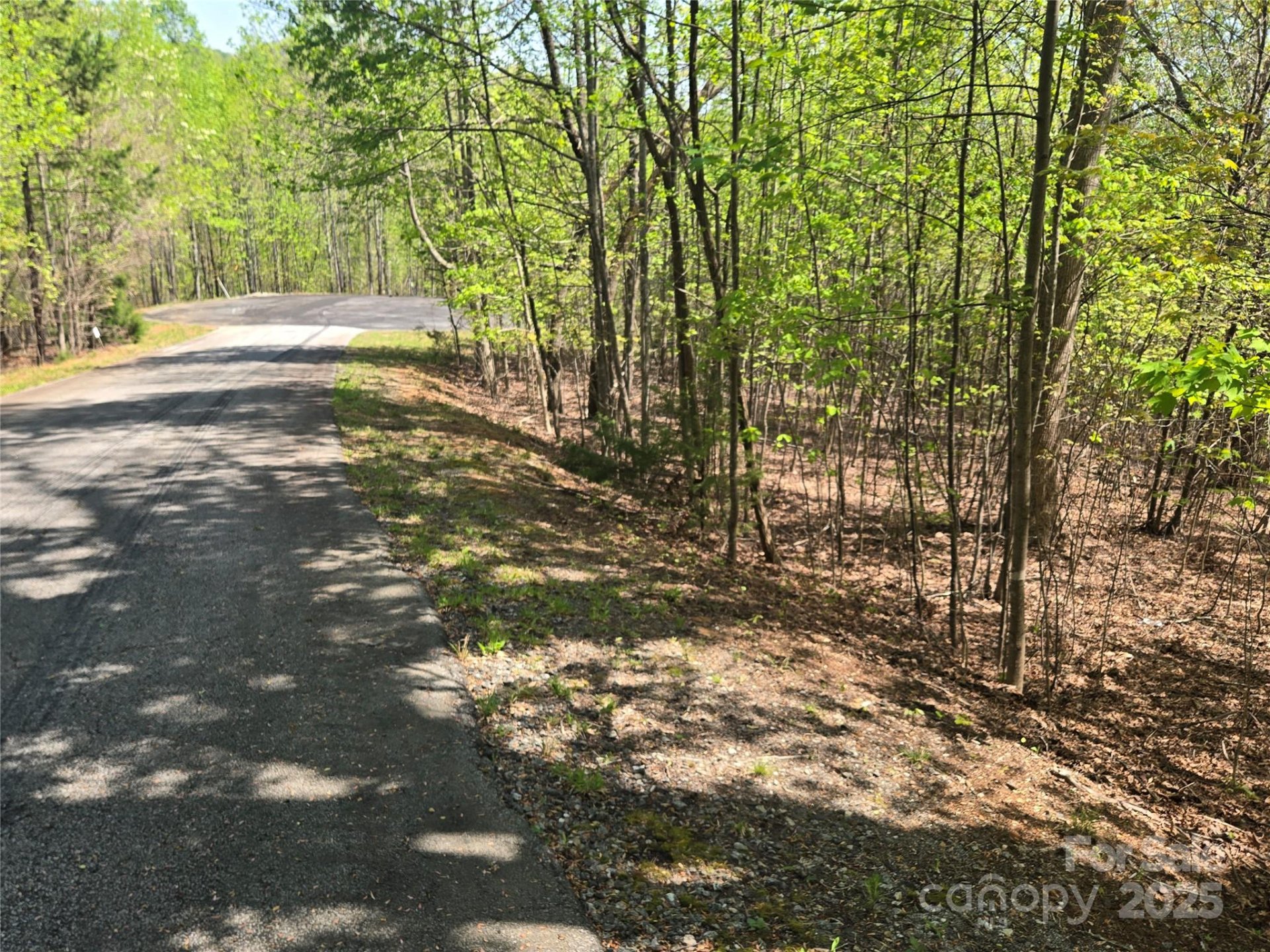 Lot 14 Back Hollow Drive