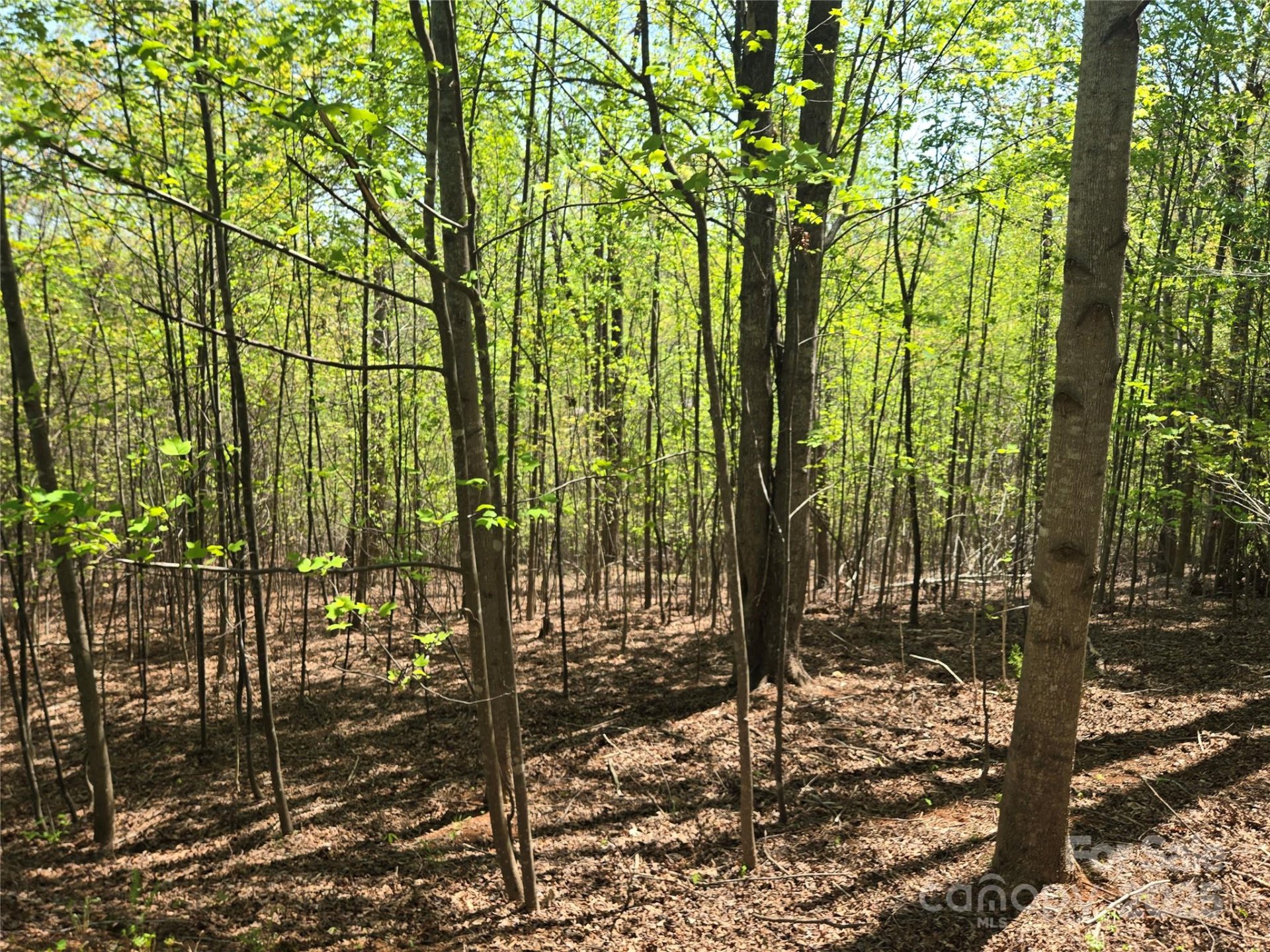 Lot 14 Back Hollow Drive