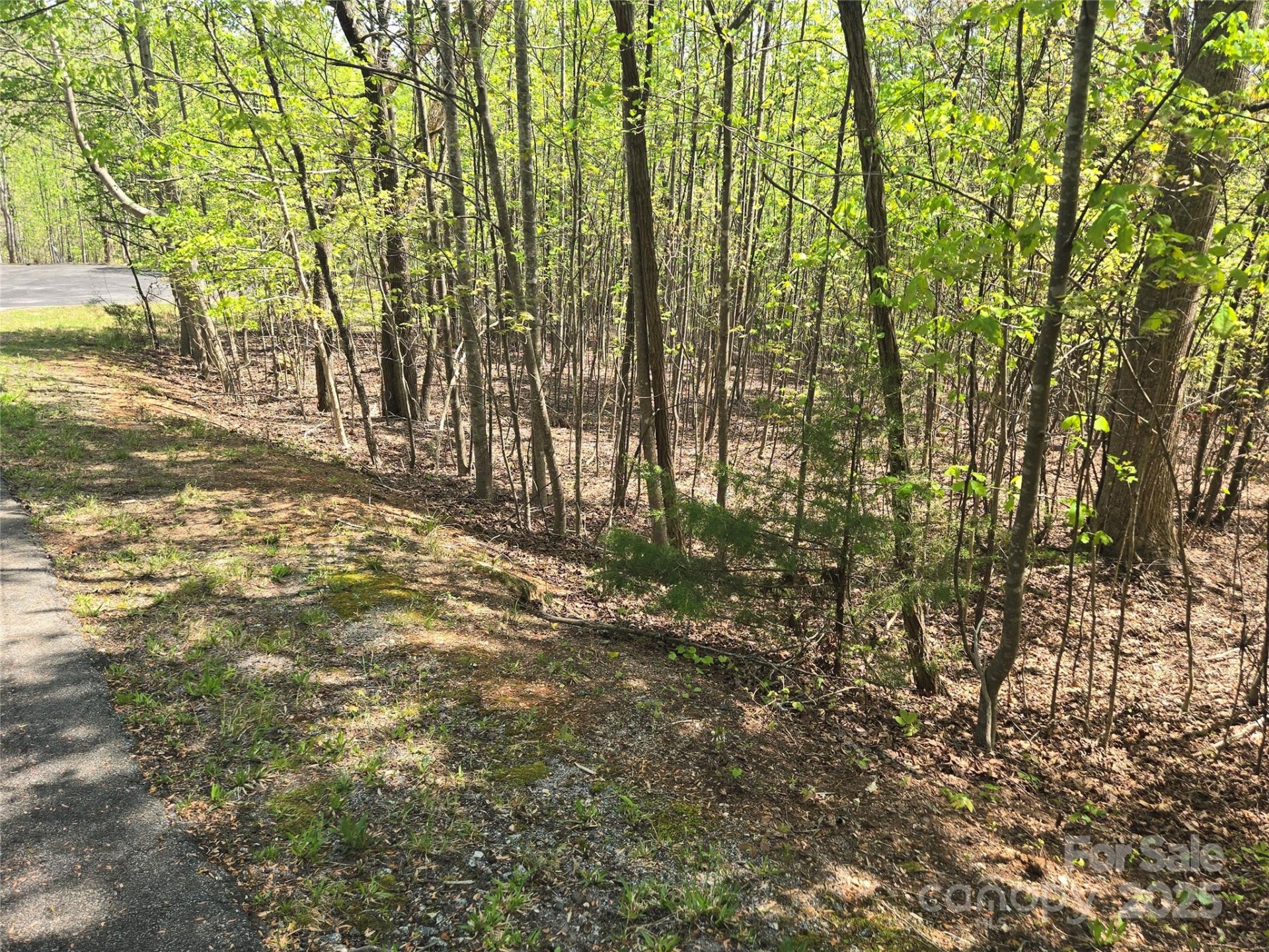 Property image 3 at Lot 14 Back Hollow Drive, Lake Lure, NC 28746