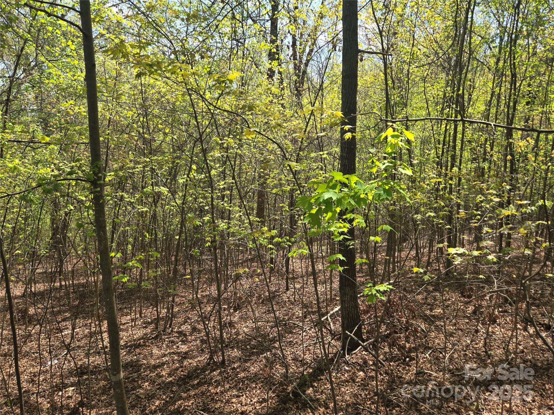 Property image 4 at Lot 14 Back Hollow Drive, Lake Lure, NC 28746