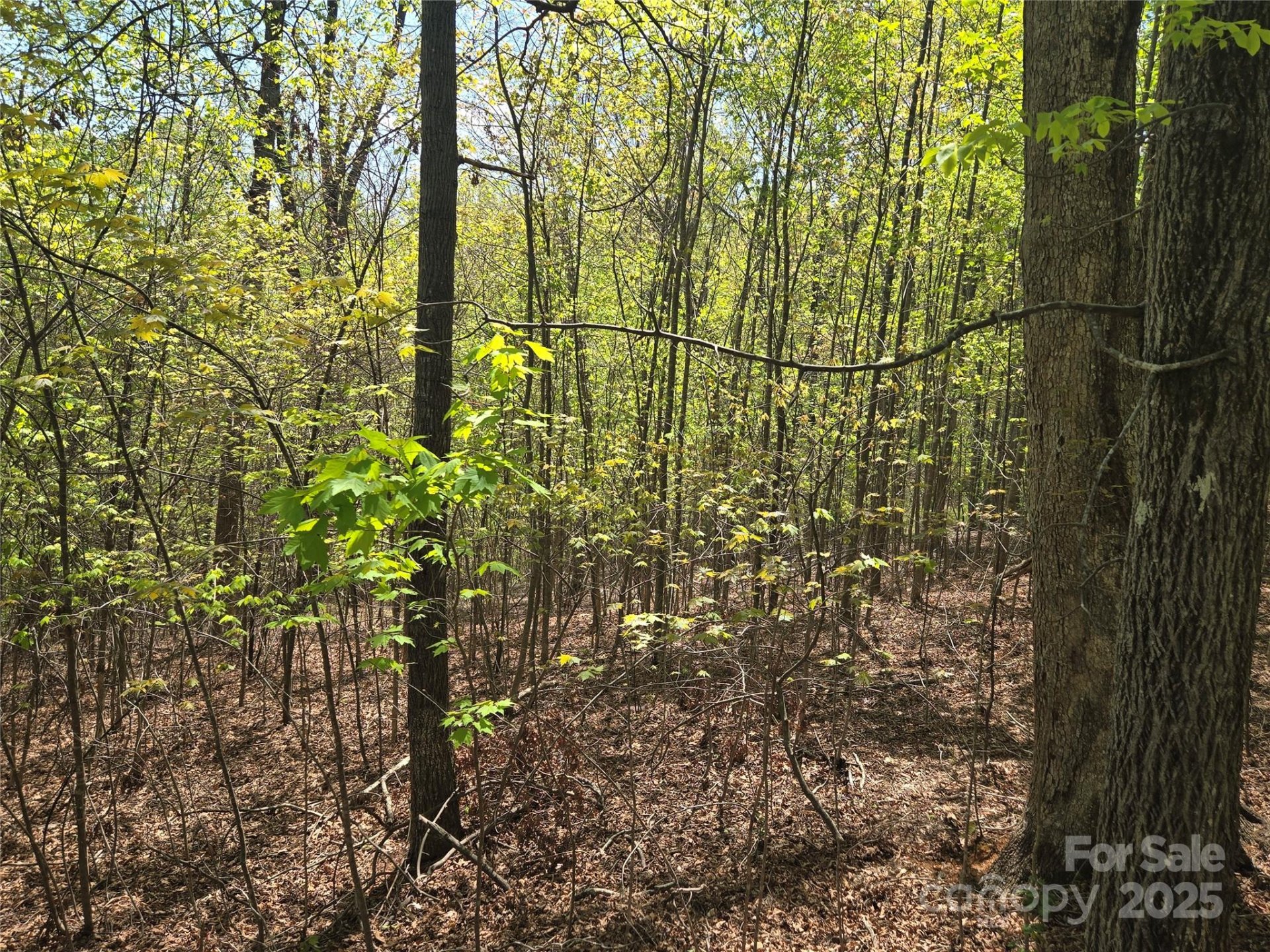 Property image 5 at Lot 14 Back Hollow Drive, Lake Lure, NC 28746