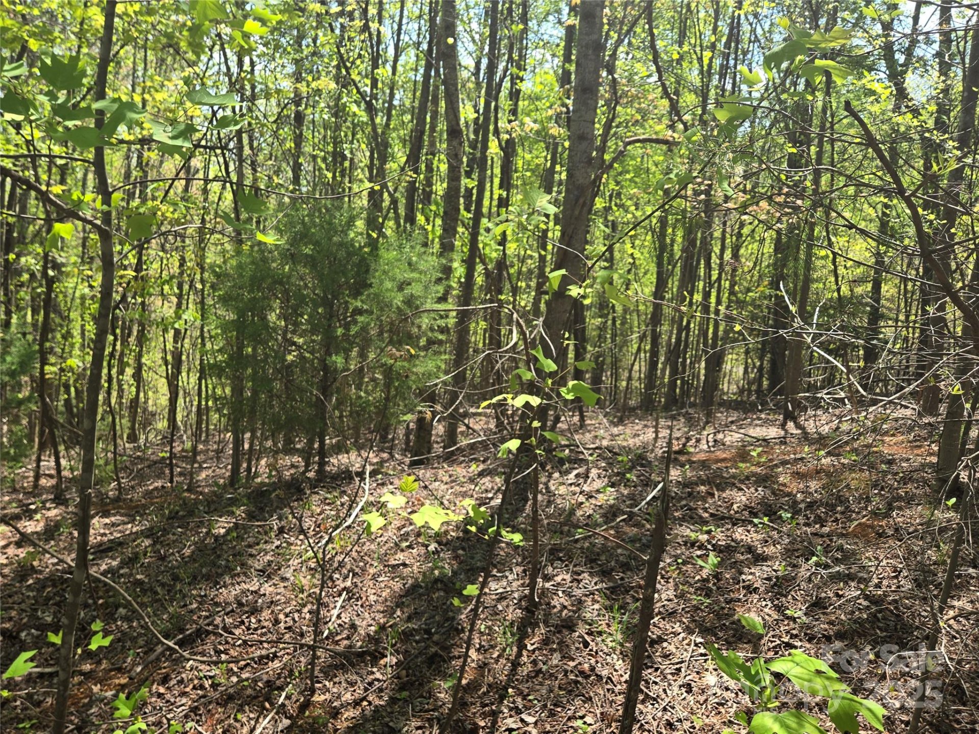Property image 2 at Lot 15 Touch Me Not Trail, Lake Lure, NC 28746