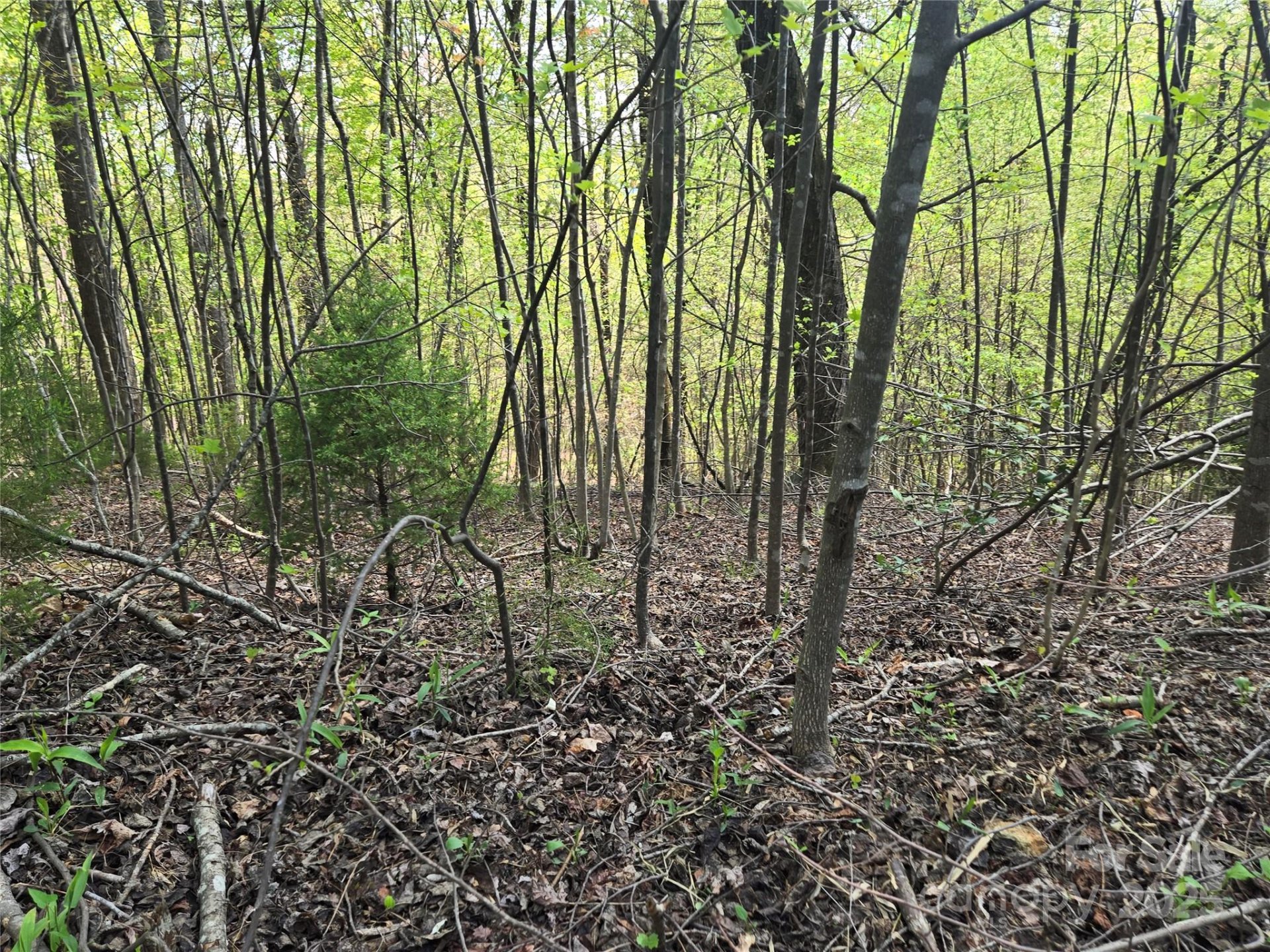 Property image 3 at Lot 15 Touch Me Not Trail, Lake Lure, NC 28746