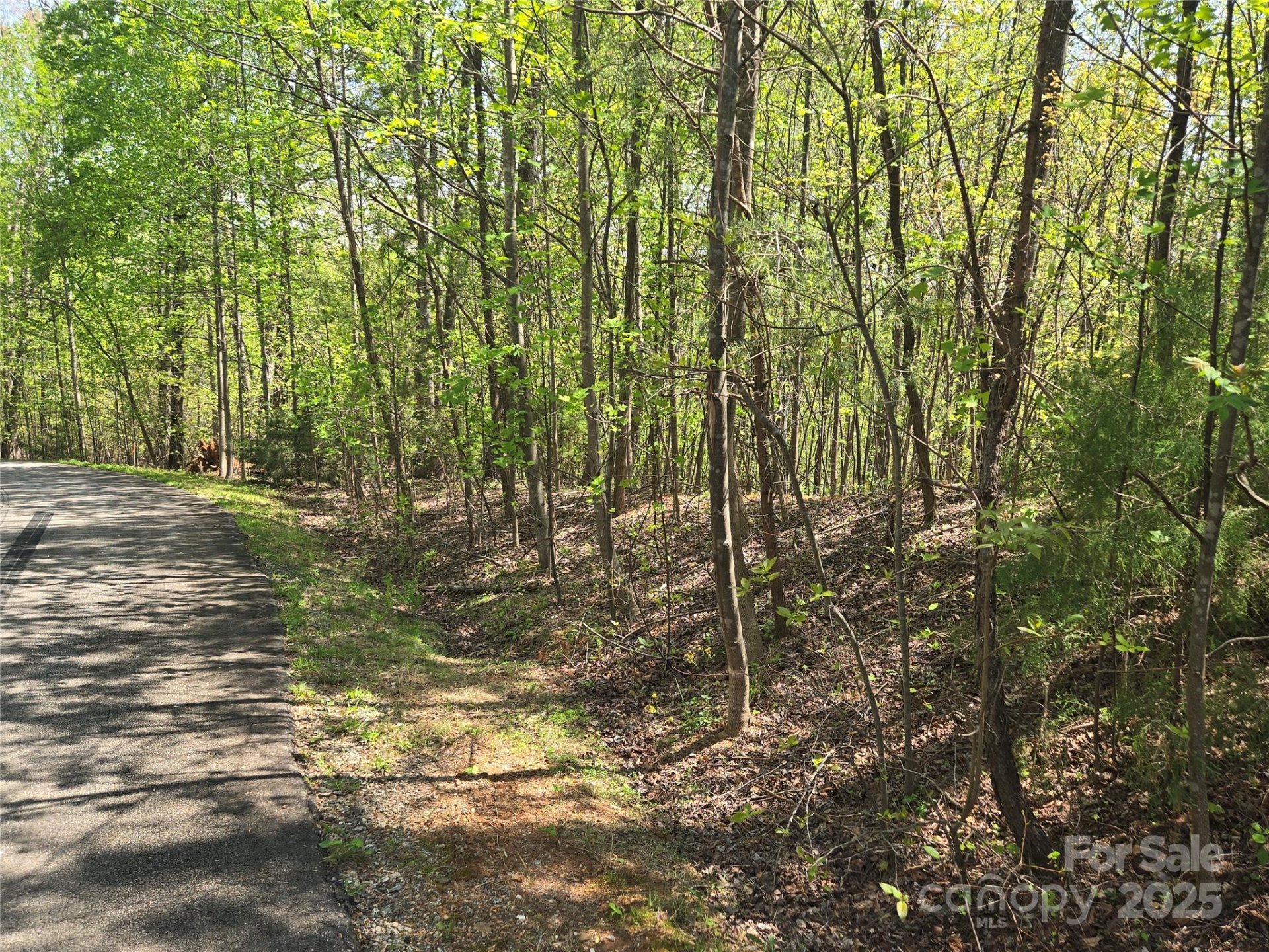 Property image 4 at Lot 15 Touch Me Not Trail, Lake Lure, NC 28746