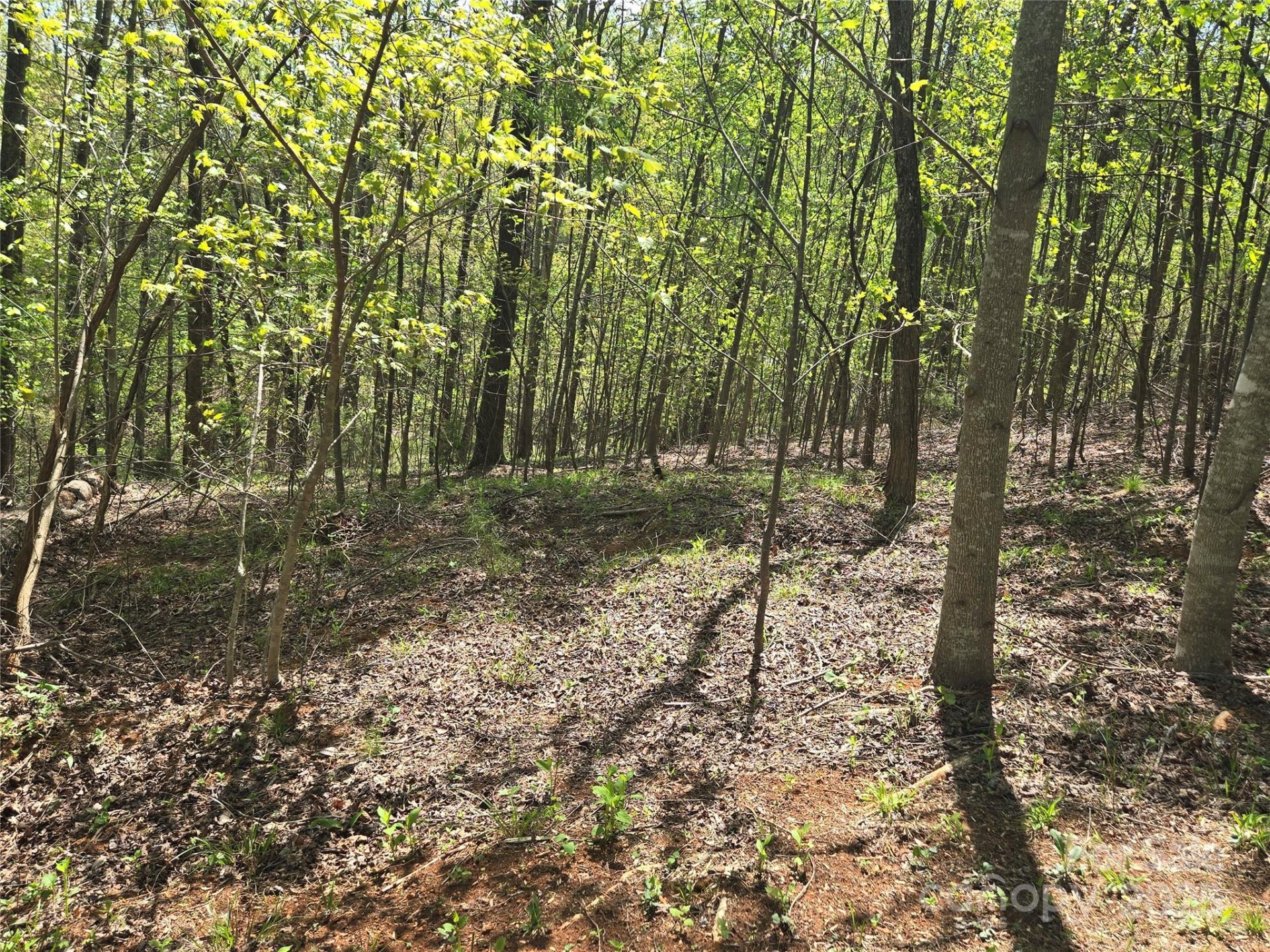 Property image 5 at Lot 15 Touch Me Not Trail, Lake Lure, NC 28746