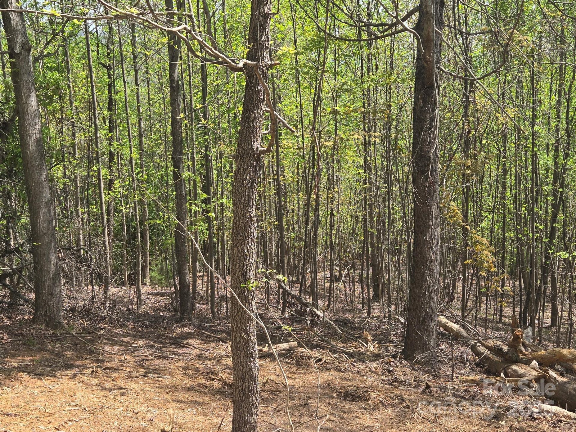 Property image 4 at Lot 16 High Rock Ridge, Lake Lure, NC 28746