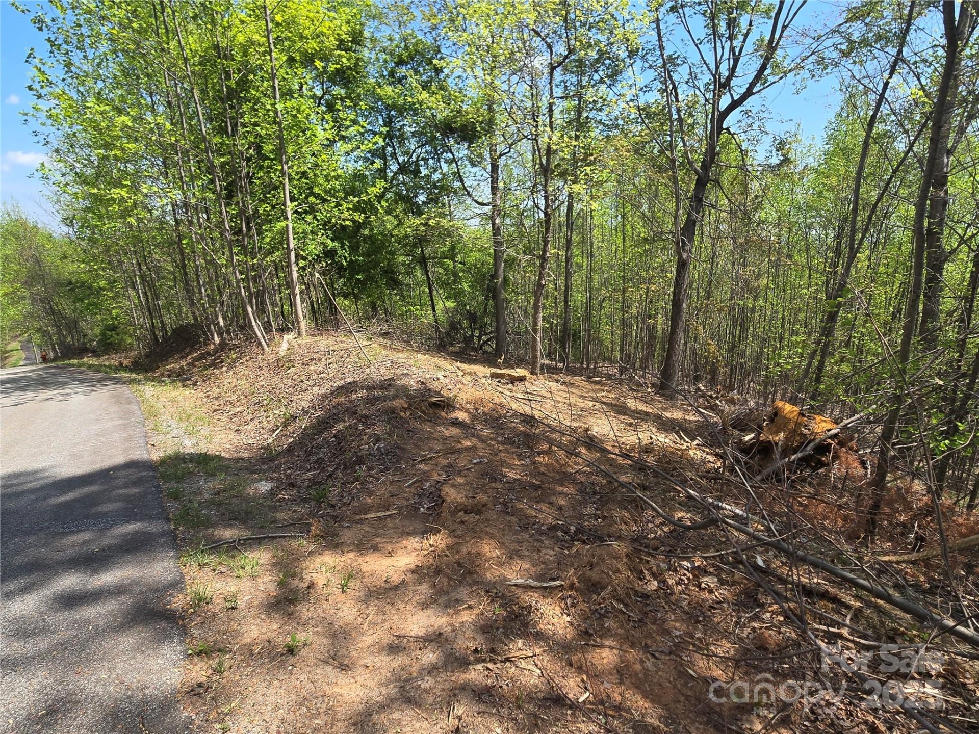 Property image 5 at Lot 16 High Rock Ridge, Lake Lure, NC 28746