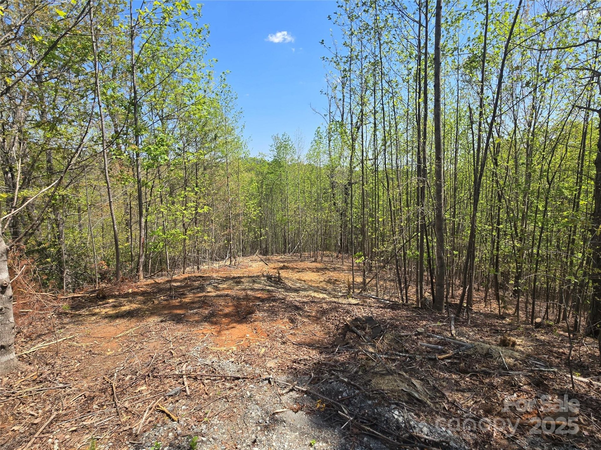 Property image 2 at Lot 17 Touch Me Not Trail, Lake Lure, NC 28746
