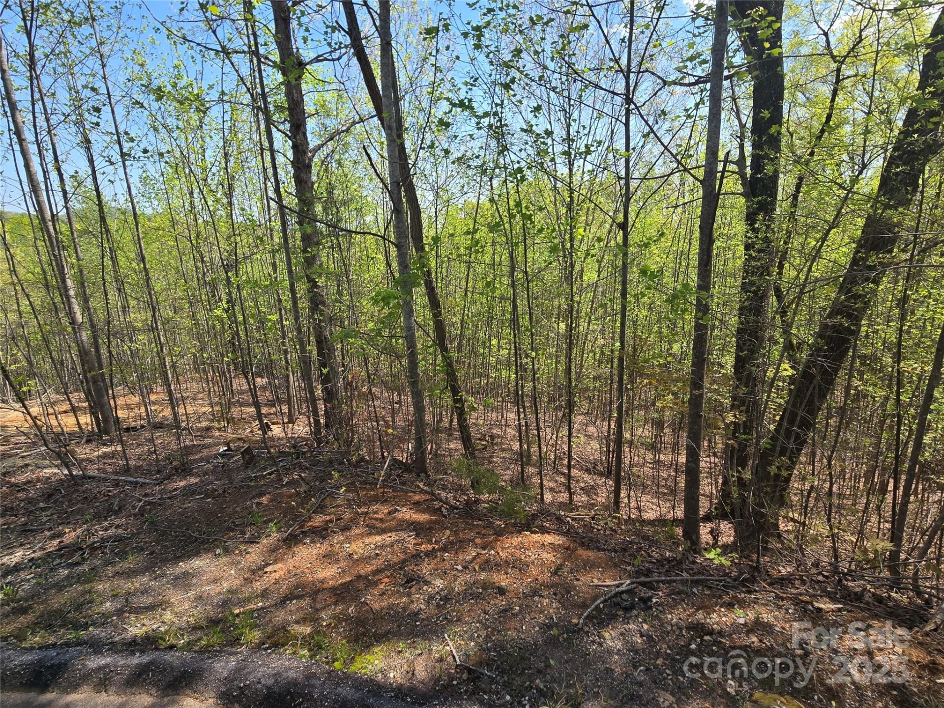 Property image 4 at Lot 17 Touch Me Not Trail, Lake Lure, NC 28746