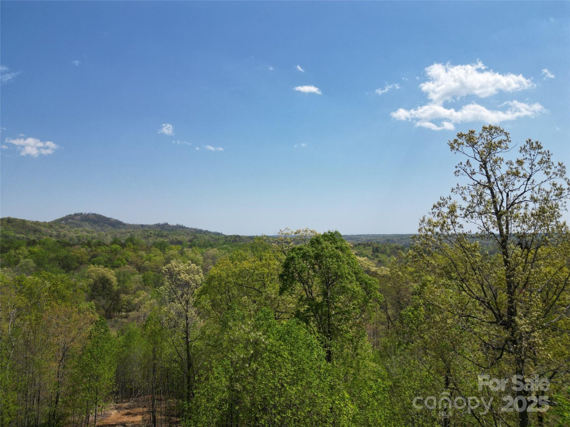 Property image 5 at Lot 17 Touch Me Not Trail, Lake Lure, NC 28746