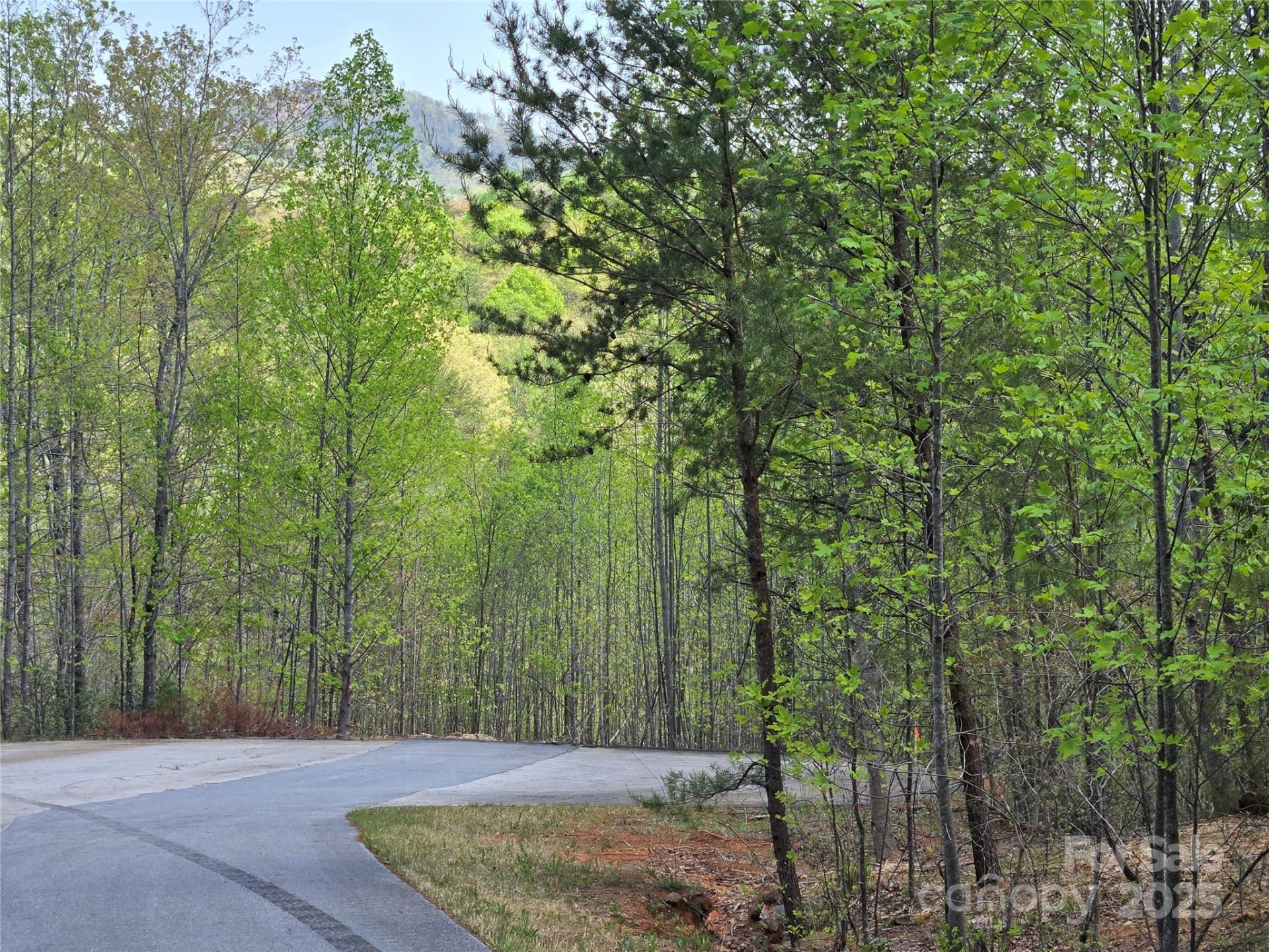 Property image 3 at Lot 20 Touch Me Not Trail, Lake Lure, NC 28746