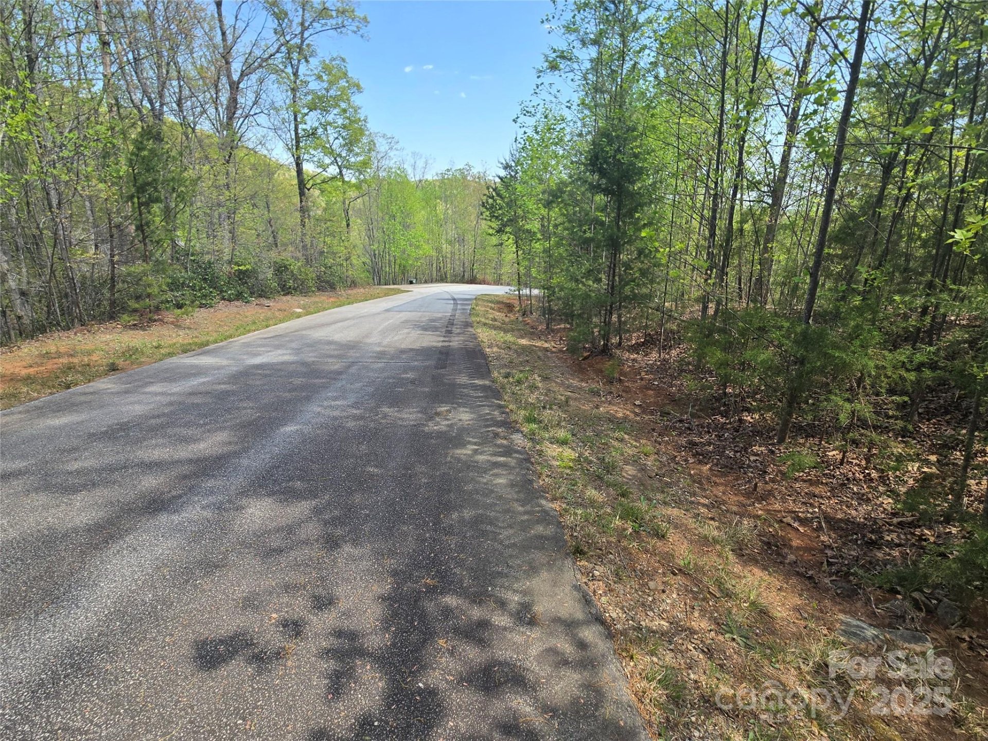 Property image 4 at Lot 20 Touch Me Not Trail, Lake Lure, NC 28746