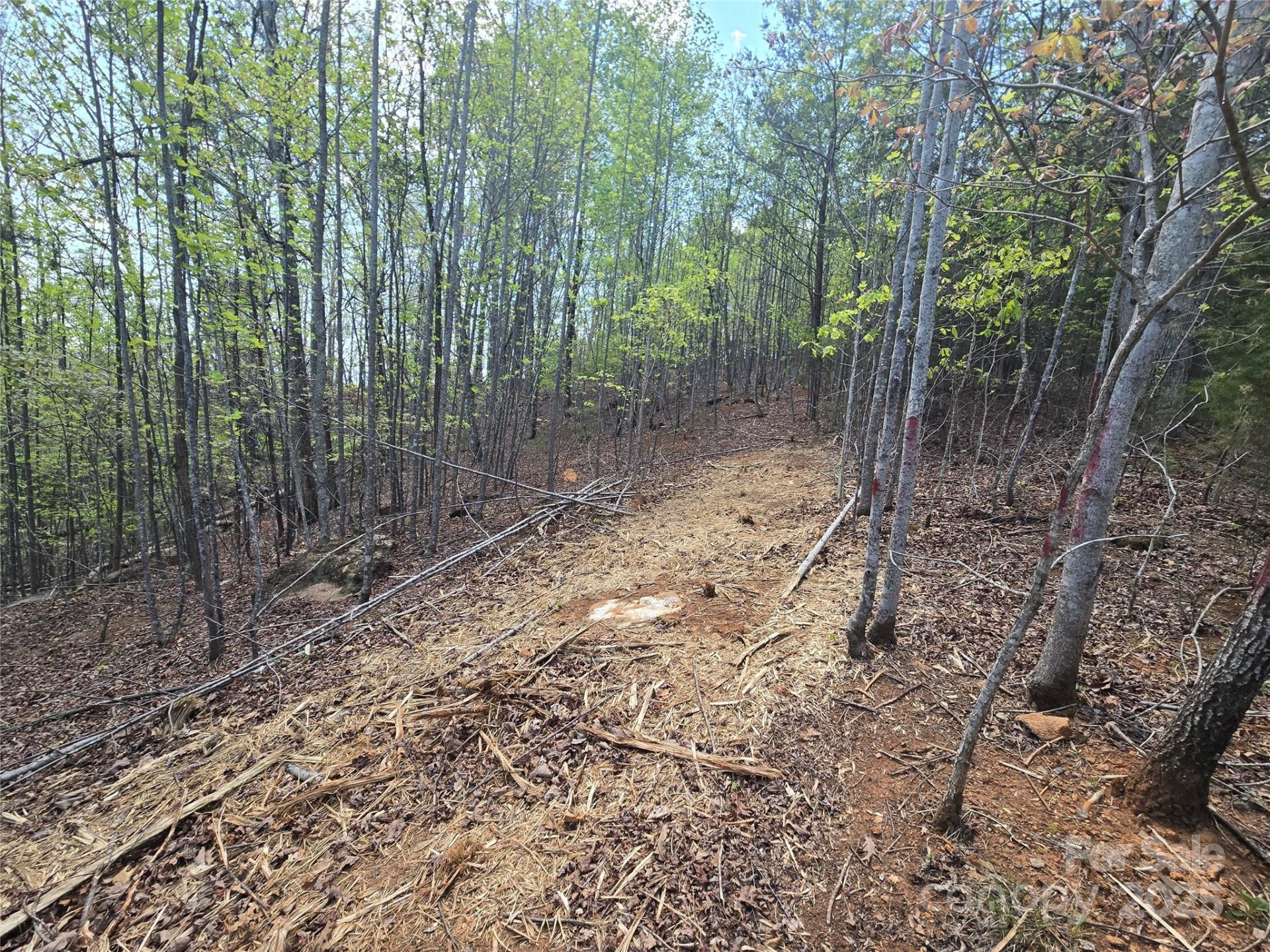Property image 5 at Lot 20 Touch Me Not Trail, Lake Lure, NC 28746