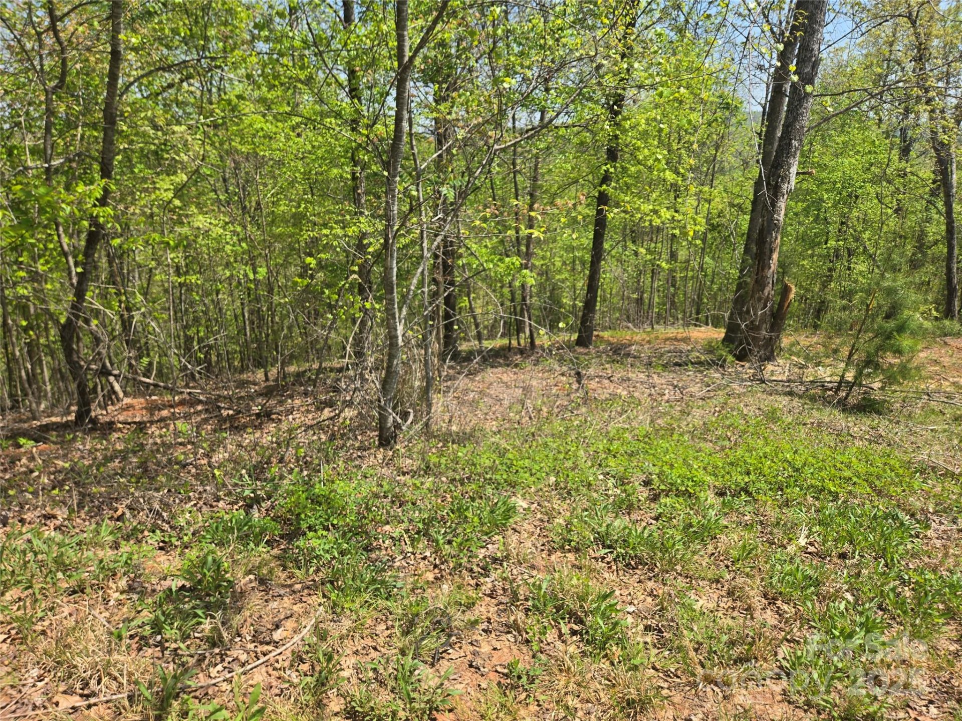 Property image 4 at Lot 23 High Rock Ridge, Lake Lure, NC 28746