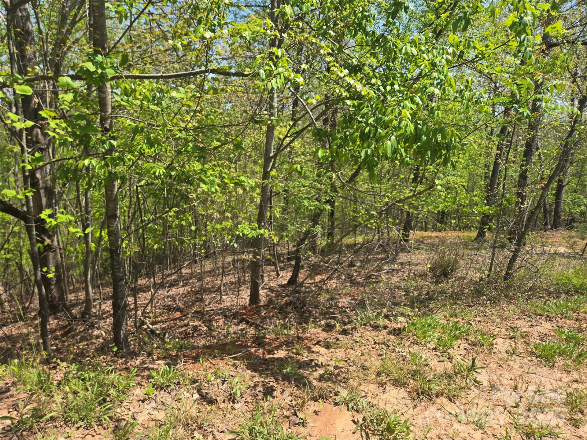 Property image 5 at Lot 23 High Rock Ridge, Lake Lure, NC 28746