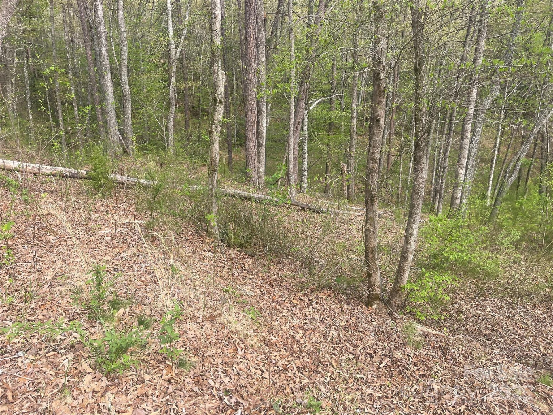 Lot 22 River Club Drive