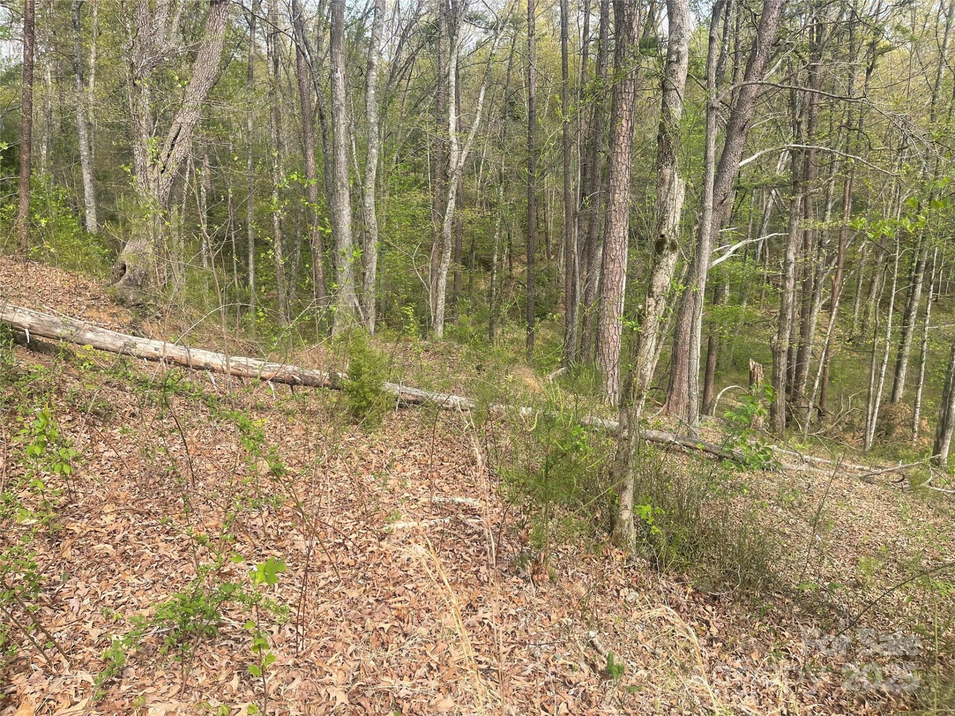 Property image 2 at Lot 22 River Club Drive, Cullowhee, NC 28723