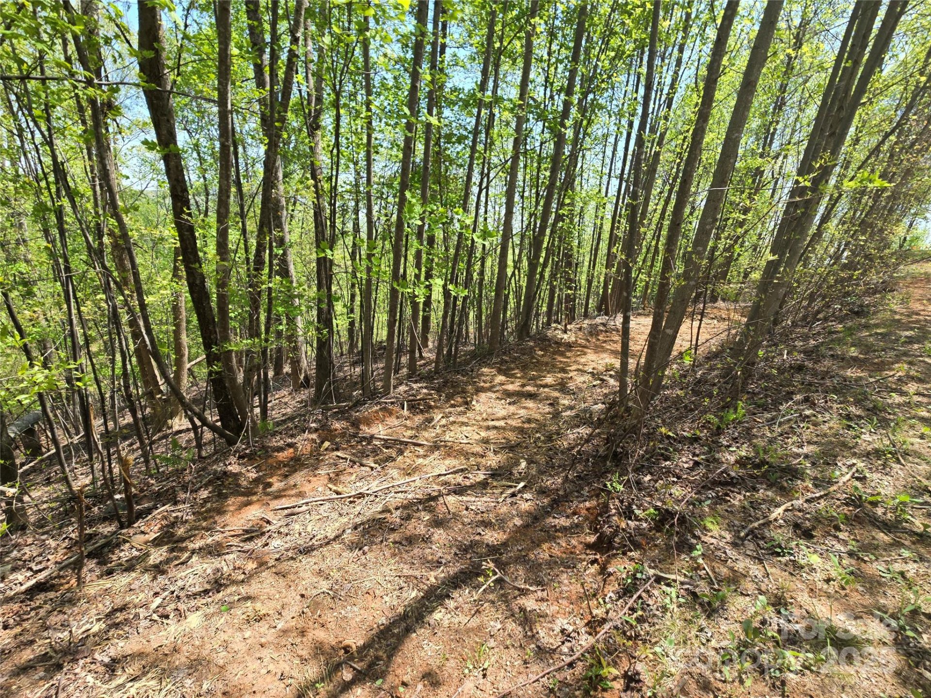 Property image 2 at Lot 24 High Rock Ridge, Lake Lure, NC 28746