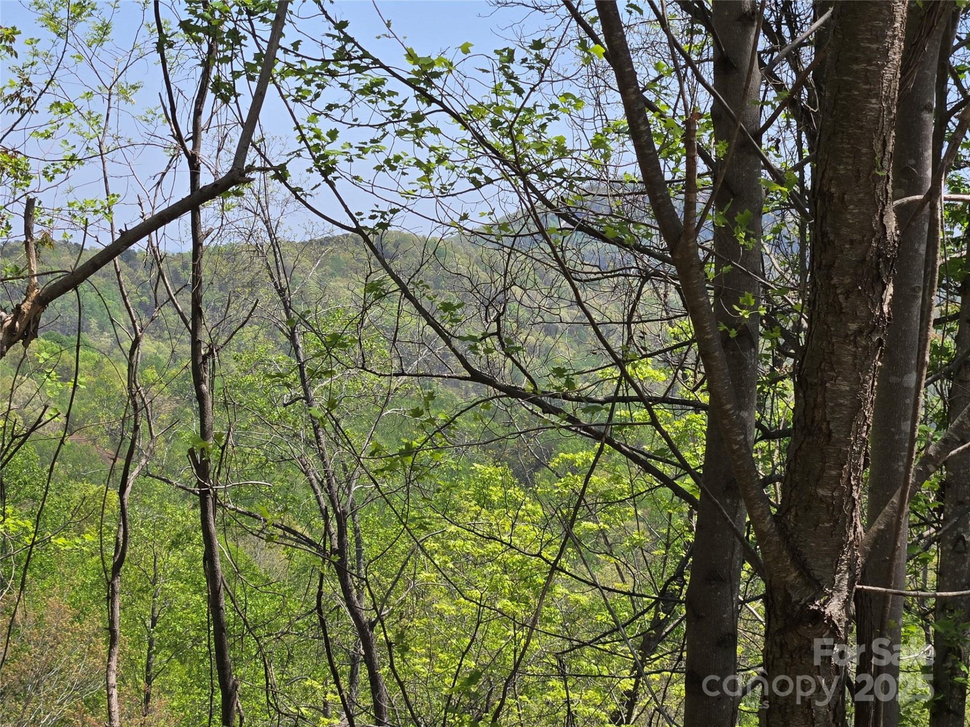 Property image 5 at Lot 24 High Rock Ridge, Lake Lure, NC 28746