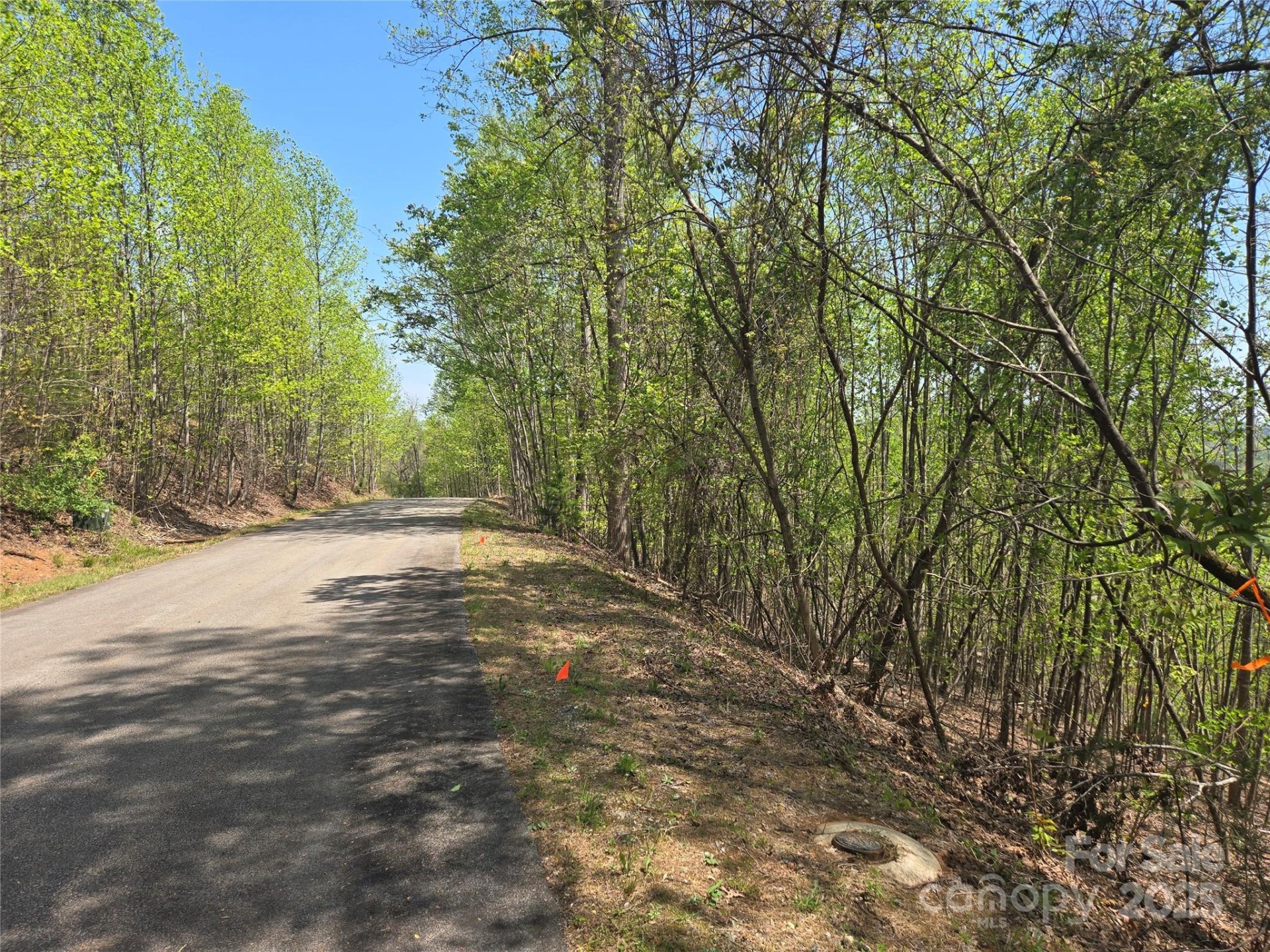 Property image 4 at Lot 25 High Rock Ridge, Lake Lure, NC 28746