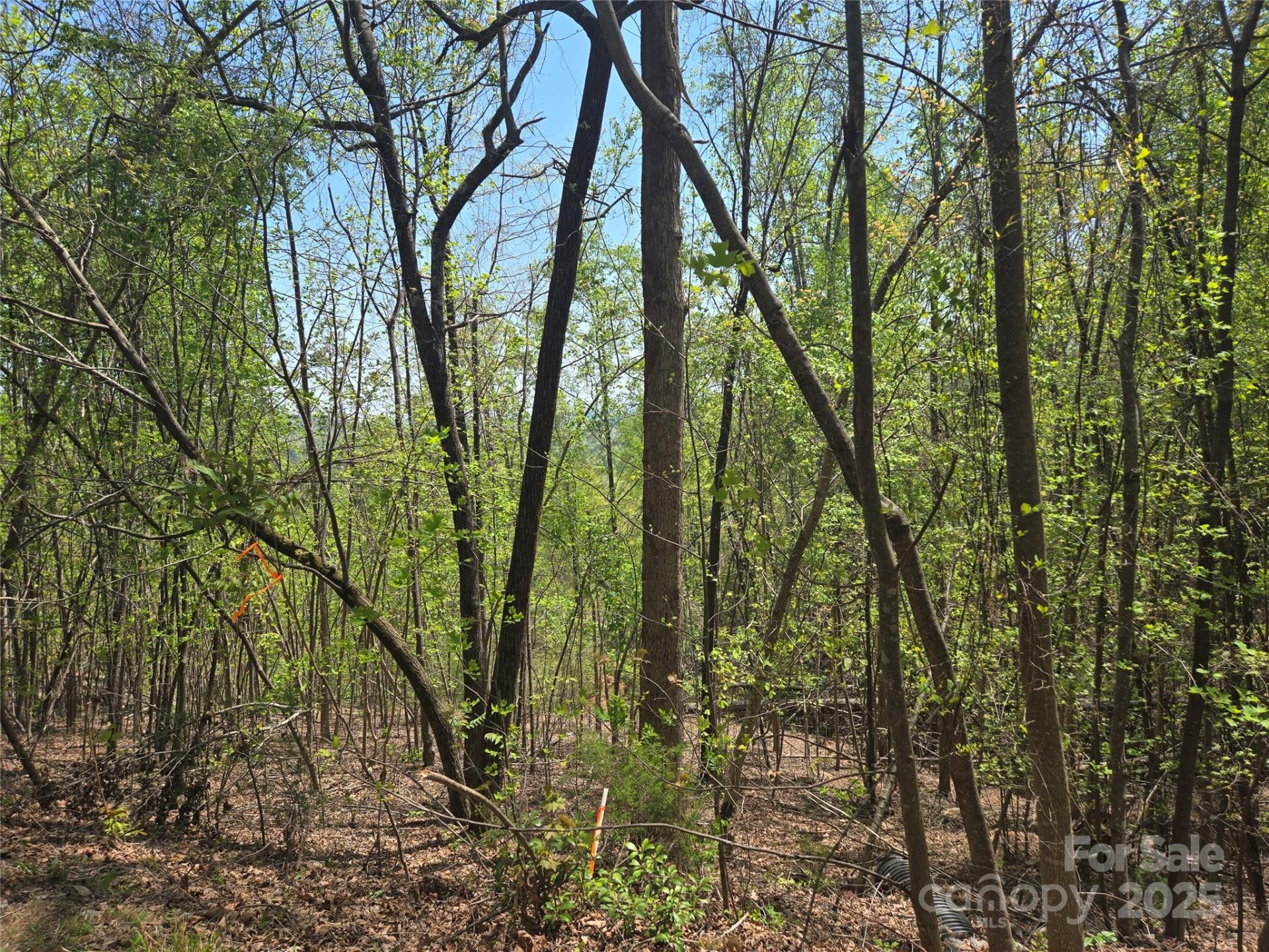 Property image 5 at Lot 25 High Rock Ridge, Lake Lure, NC 28746