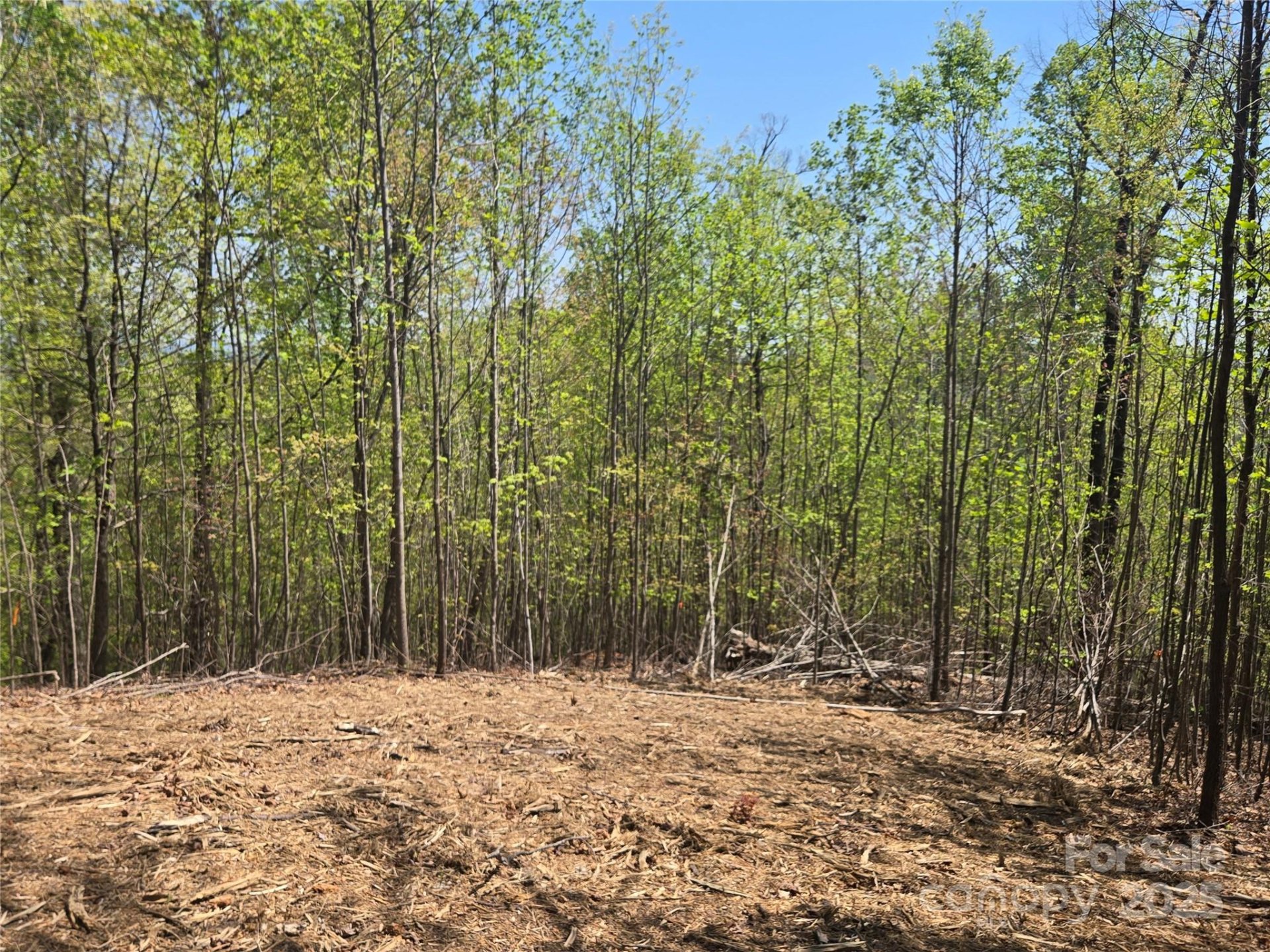 Lot 32 High Rock Ridge