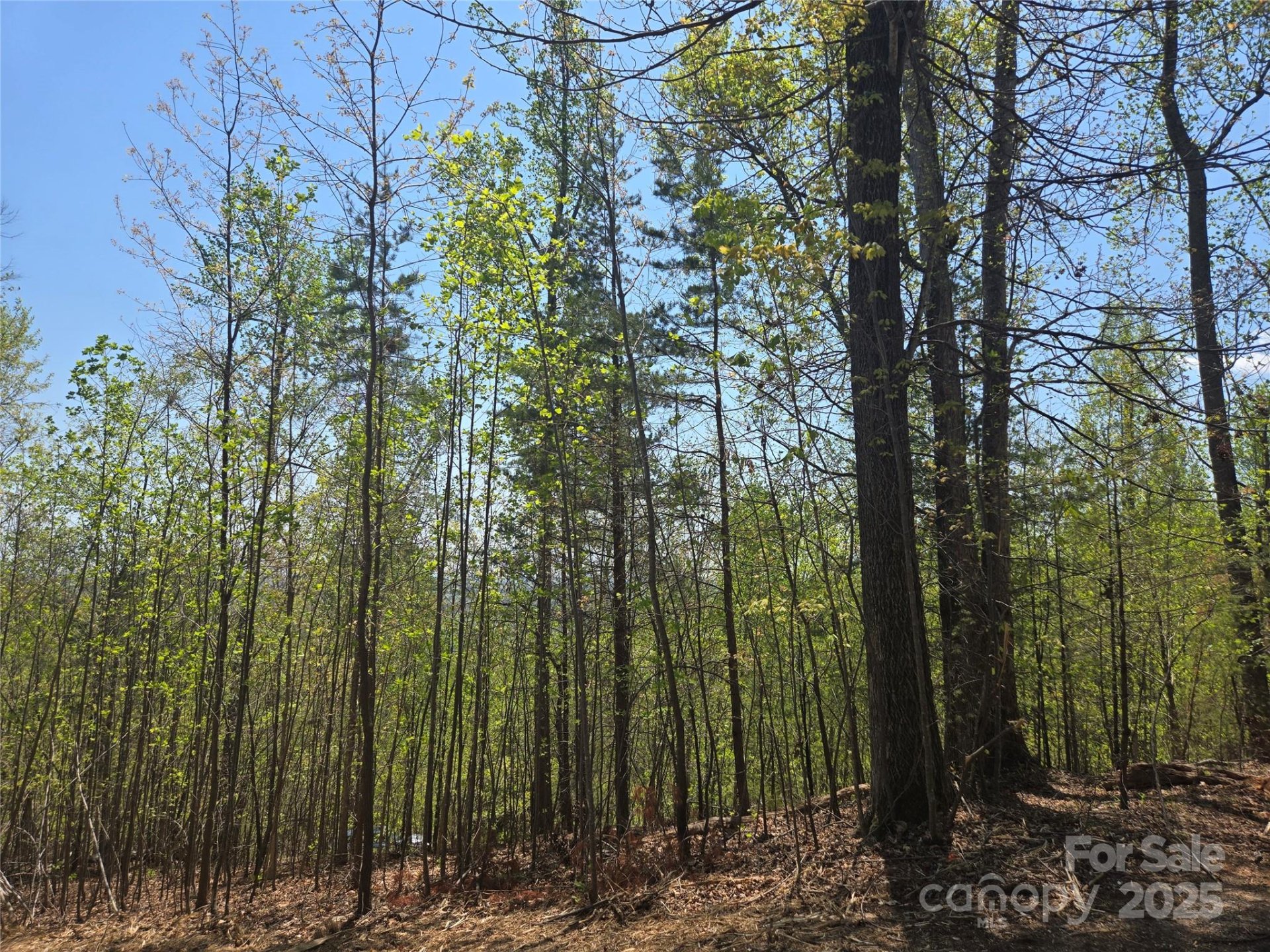 Property image 2 at Lot 32 High Rock Ridge, Lake Lure, NC 28746
