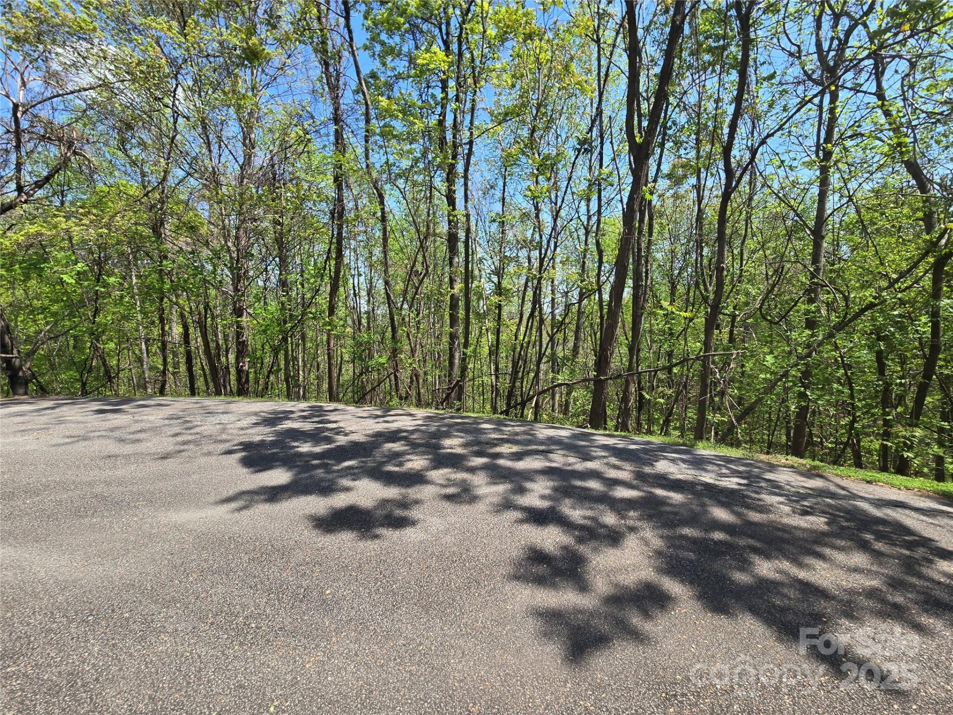 Lot 33 Turkey Fall Lane