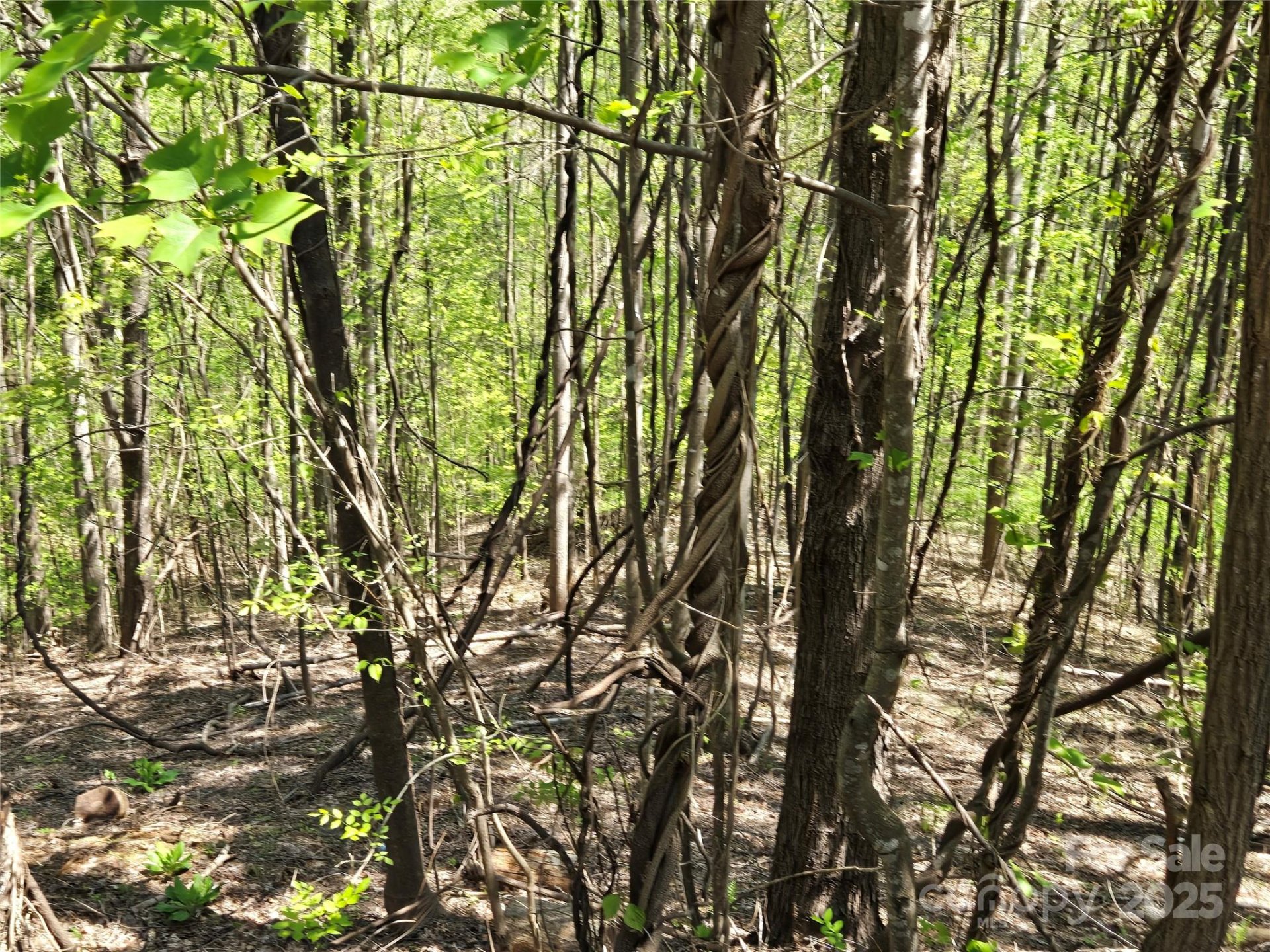 Property image 2 at Lot 33 Turkey Fall Lane, Lake Lure, NC 28746