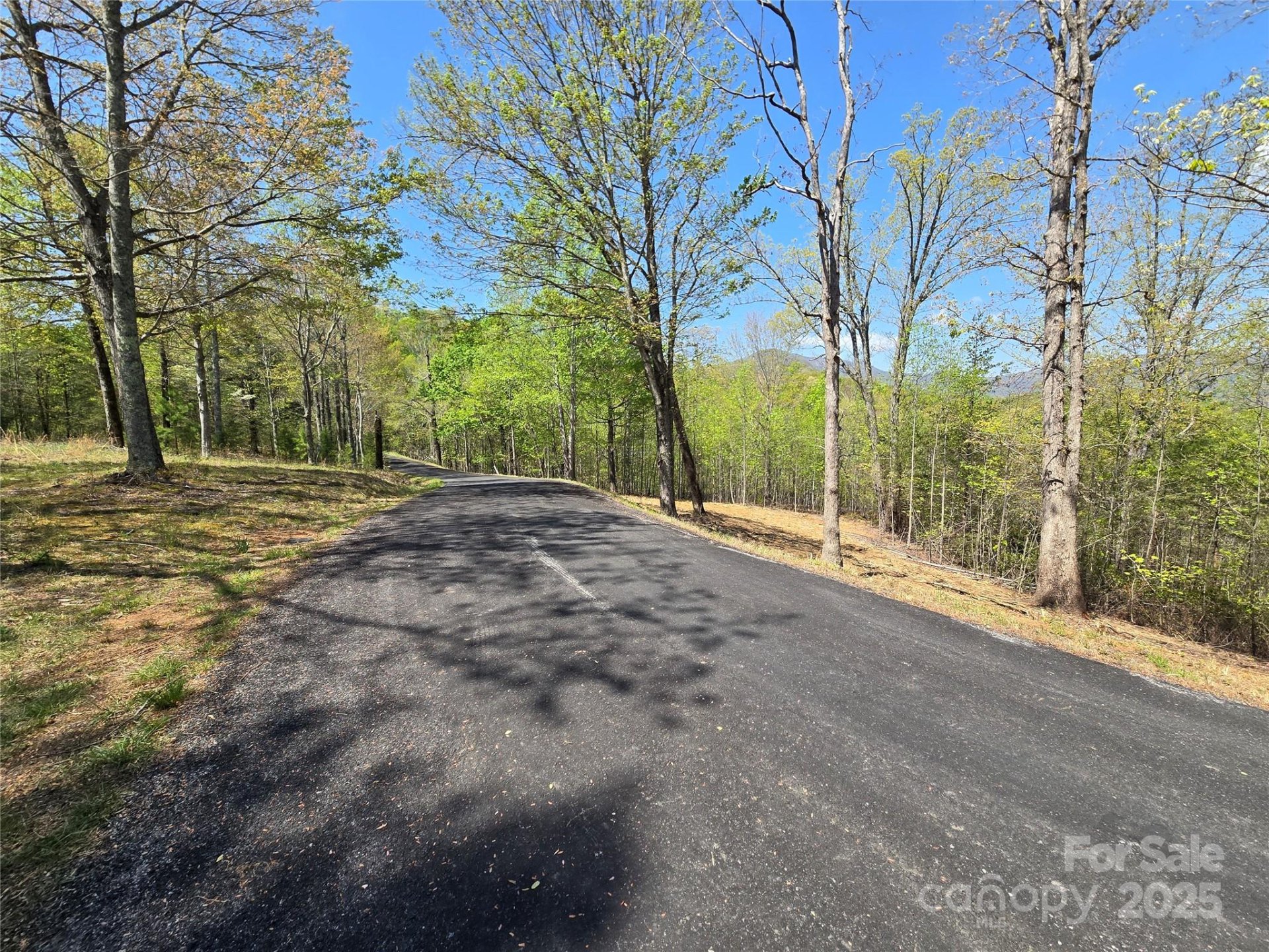 Property image 3 at Lot 34 High Rock Ridge, Lake Lure, NC 28746