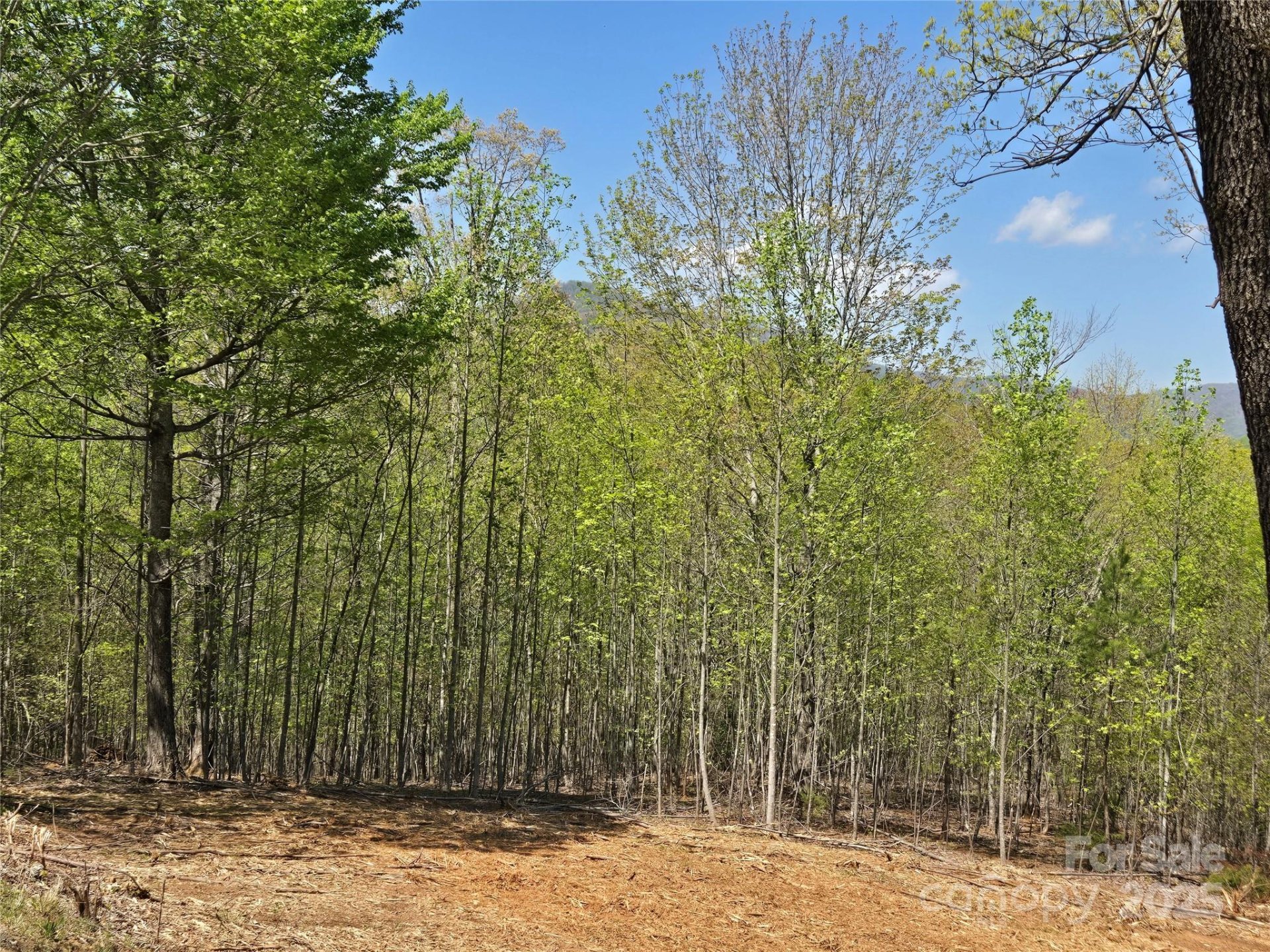 Property image 4 at Lot 34 High Rock Ridge, Lake Lure, NC 28746