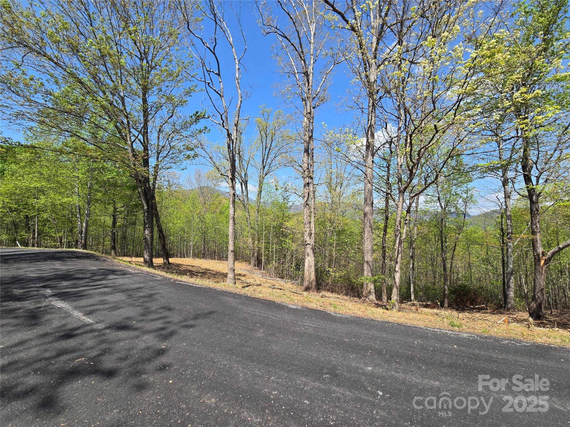 Property image 5 at Lot 34 High Rock Ridge, Lake Lure, NC 28746