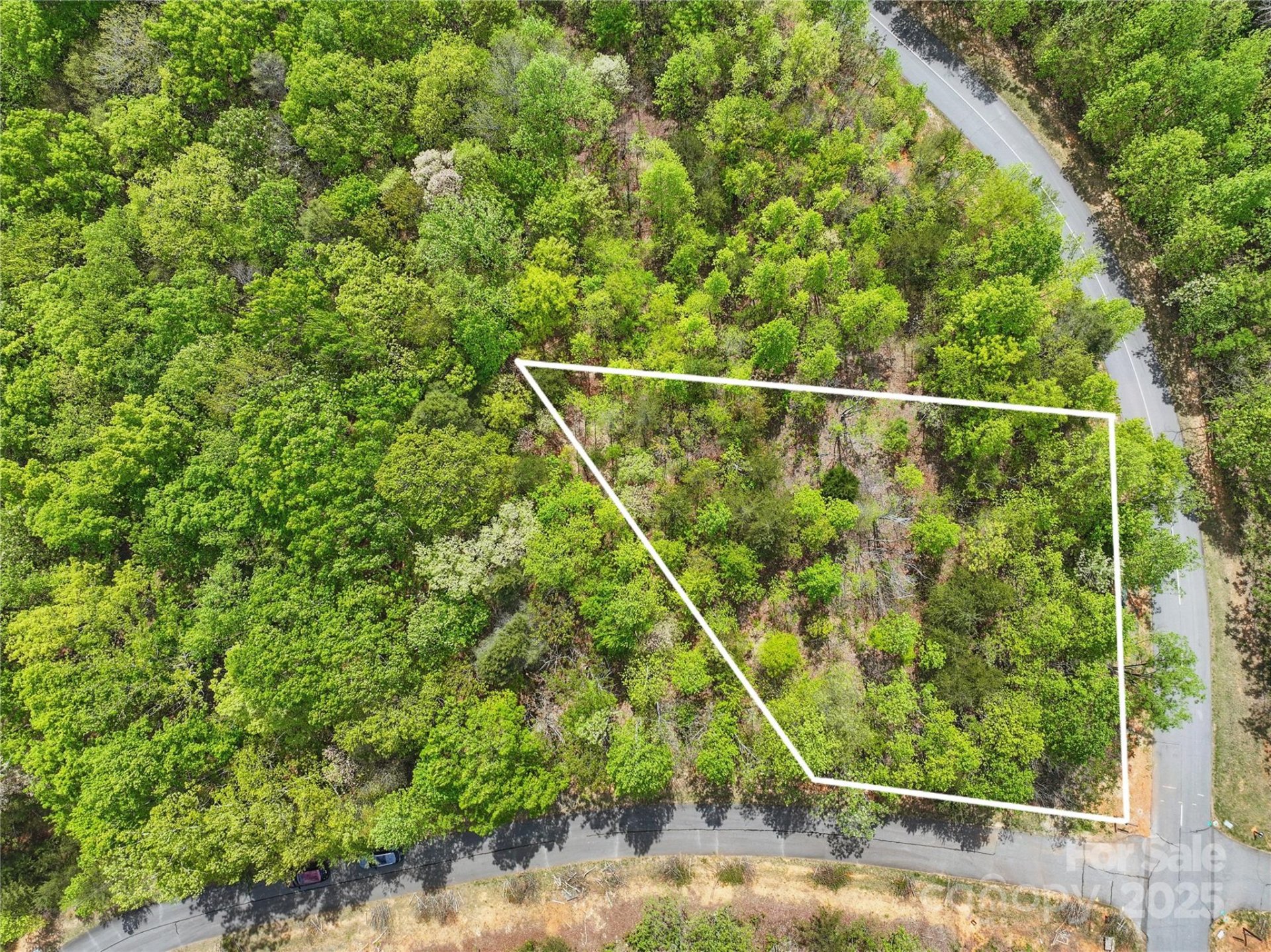 Property image 2 at Lot 2049 Deep Gap Farm Road, Mill Spring, NC 28756